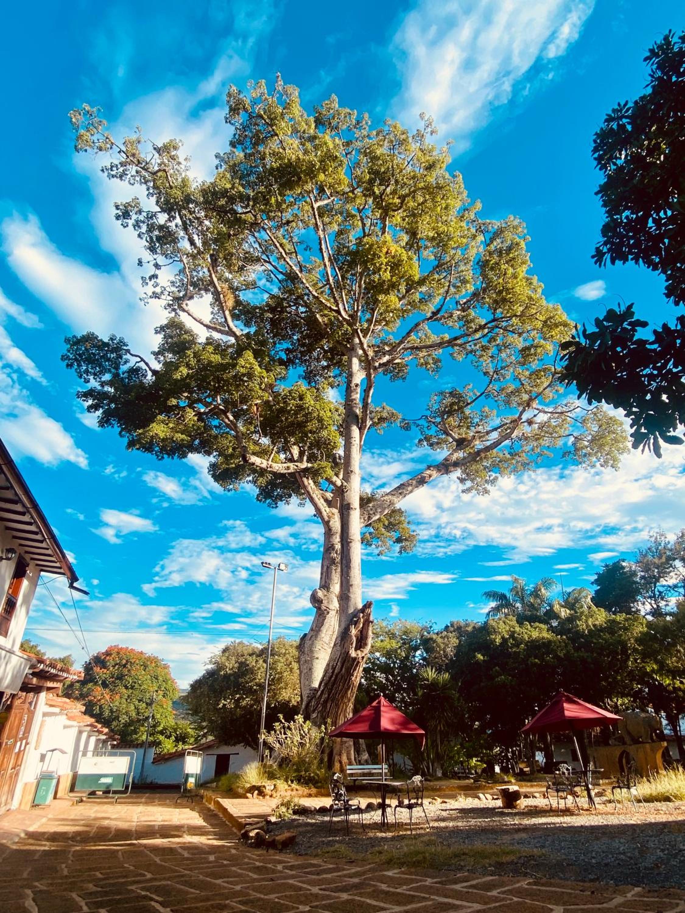 Hostal Casa Ceiba