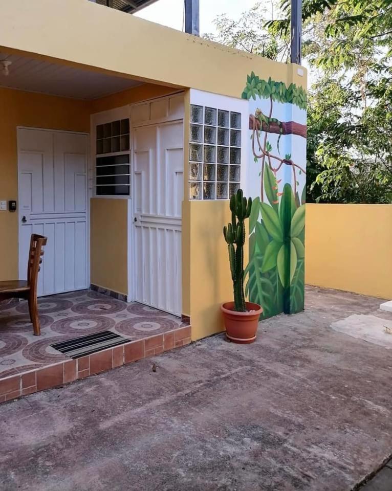 Casa Flores Carrillo - Monkey Cabena