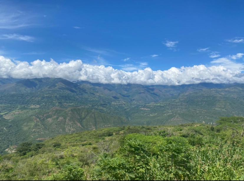 Hostal Casa Ceiba