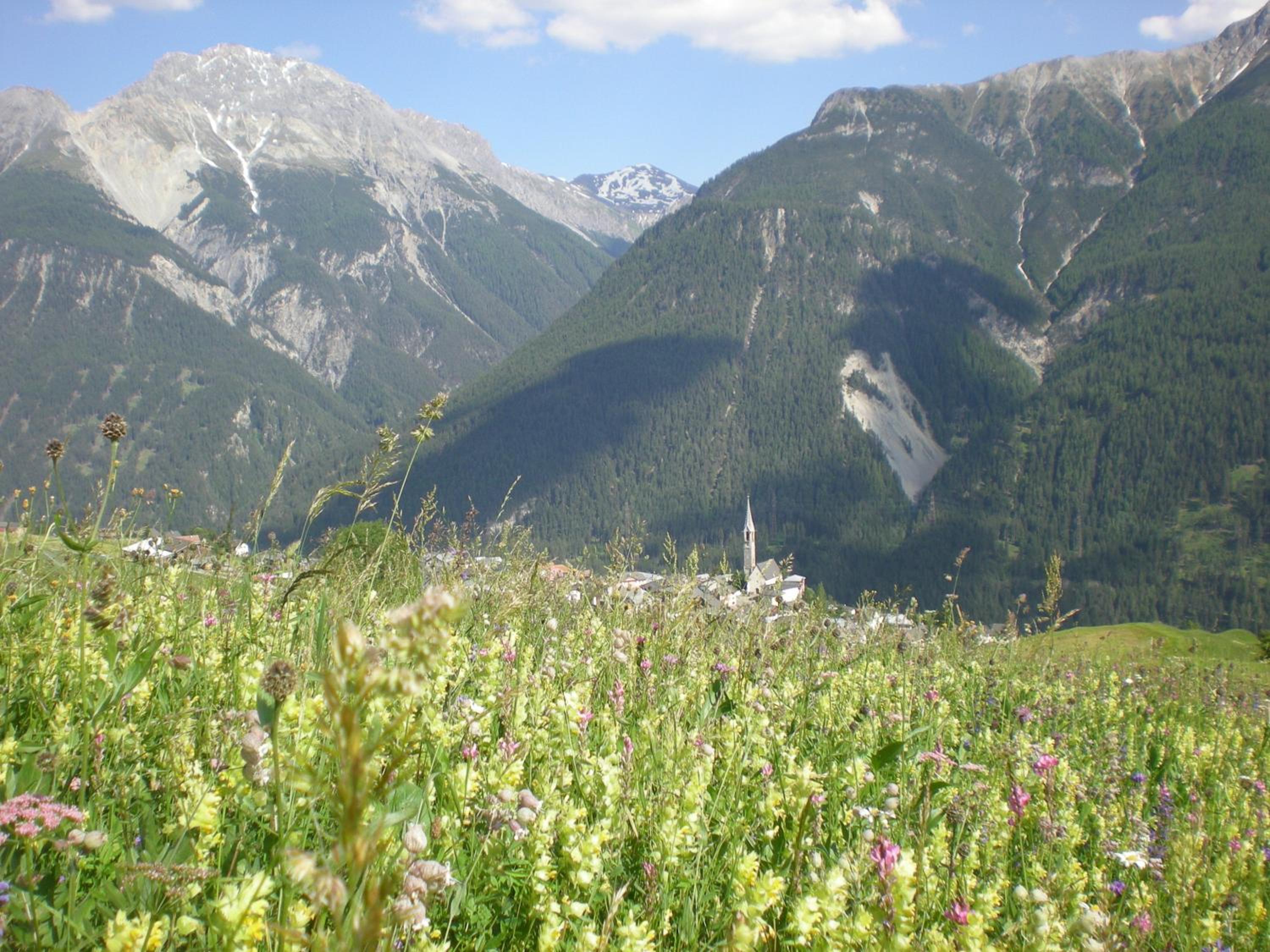Photo 40