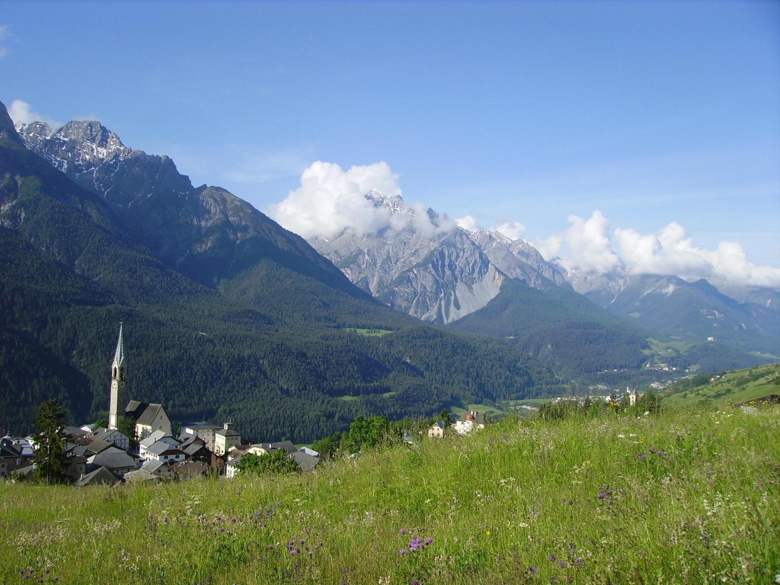 Photo 42