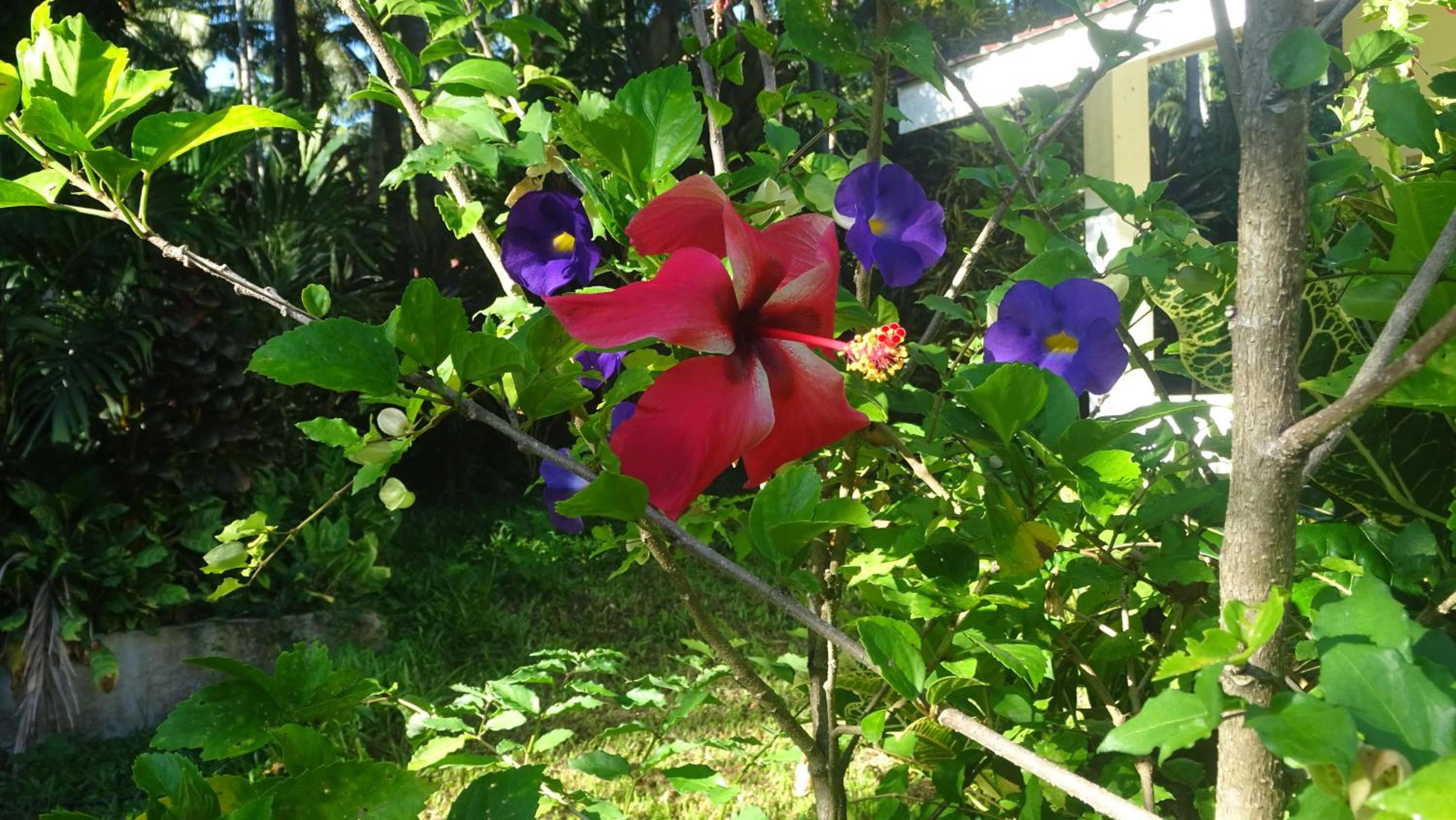 Photo 27