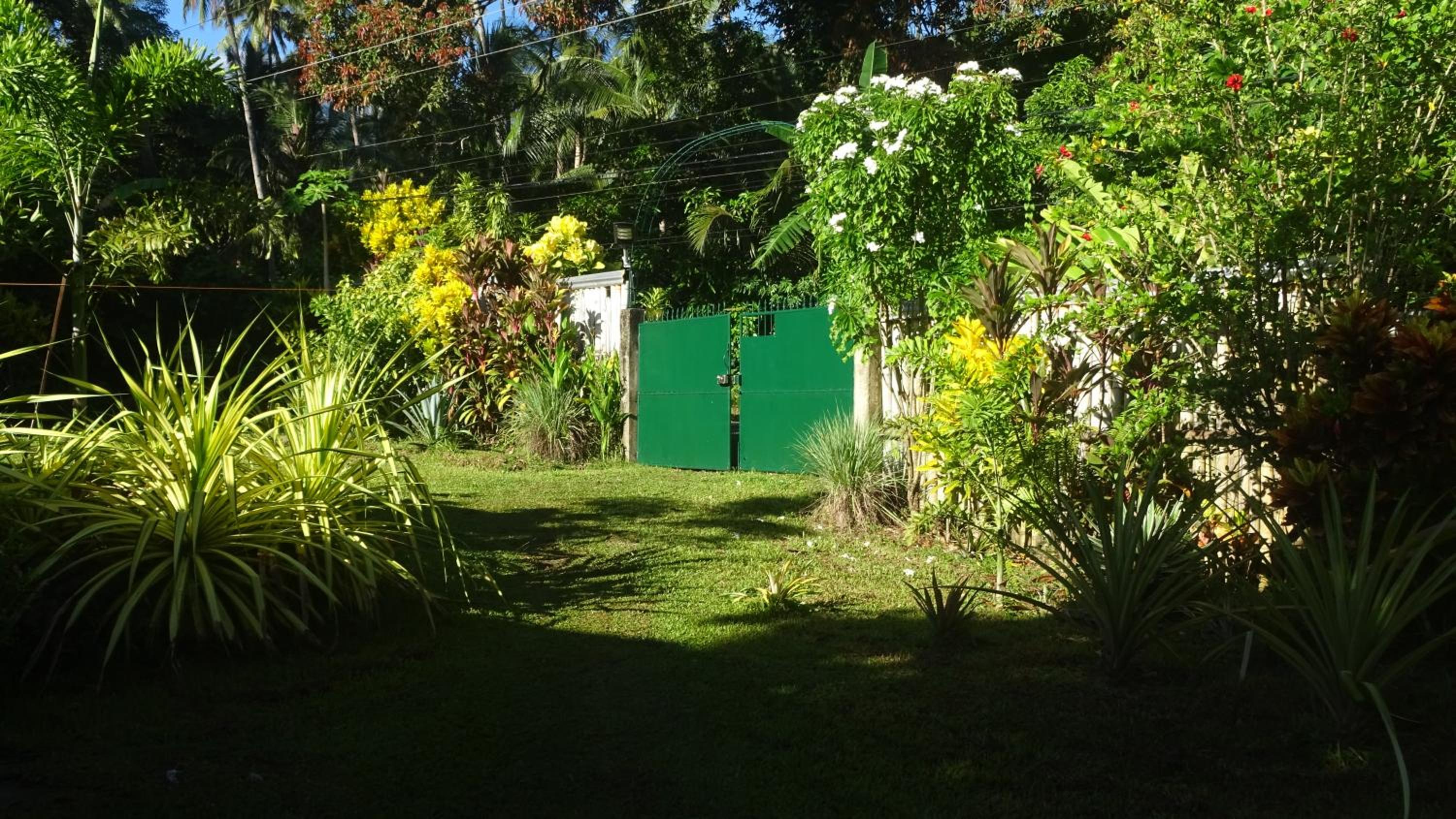Photo 34