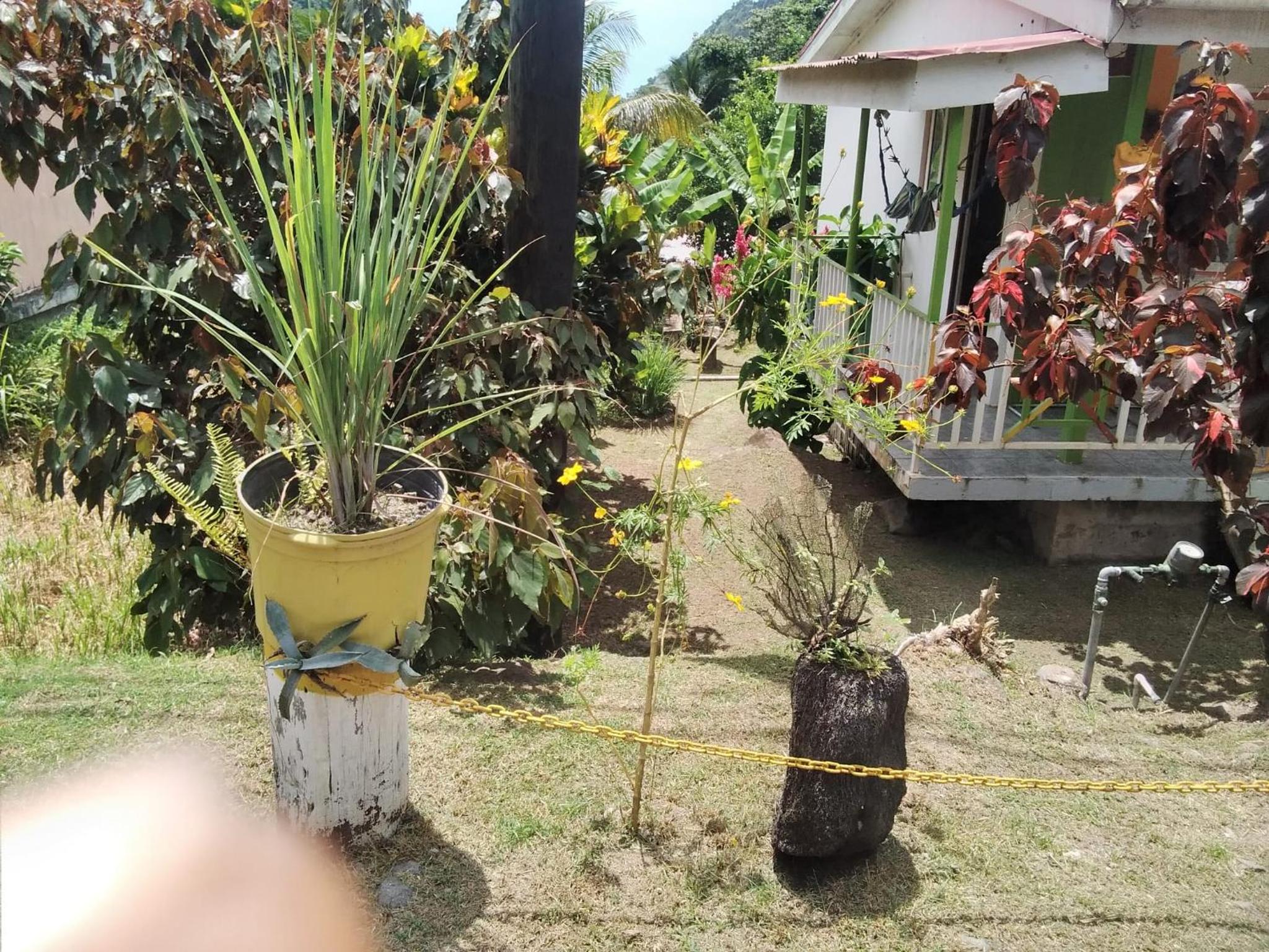 Ian Creole Garaden Cottages