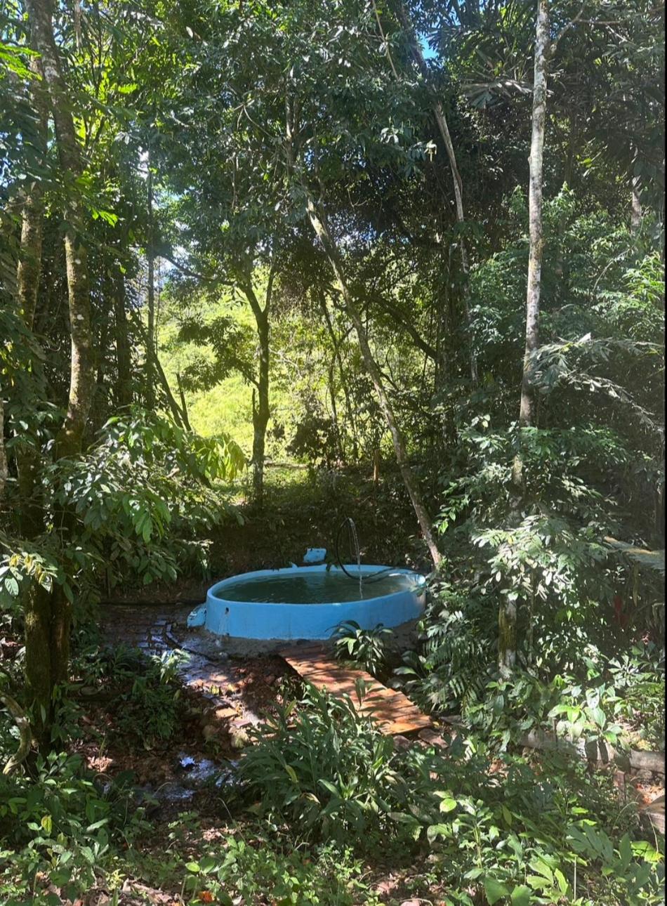Villa Medici Macarena, finca eco-turistica