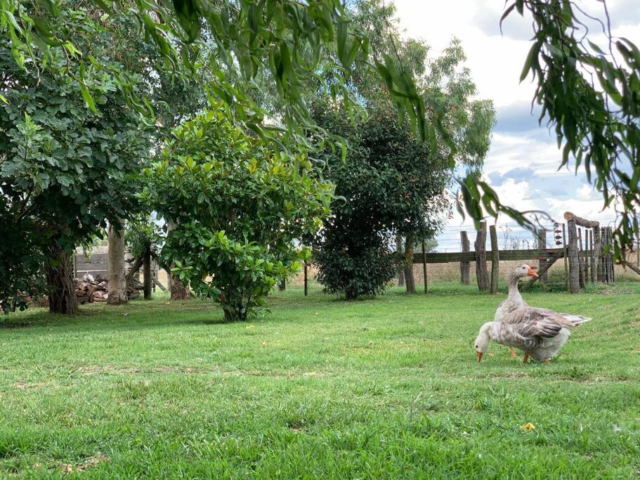 Casa de campo Villa Quién Diría