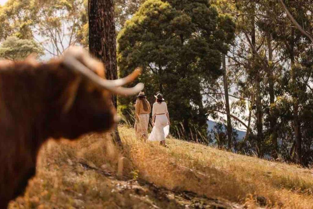 Alto Tasmania