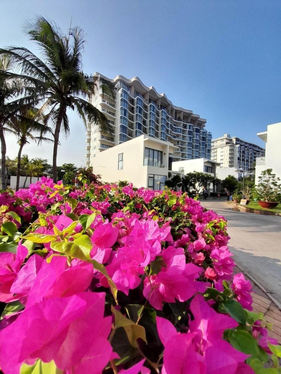 5 homestay Ocean View