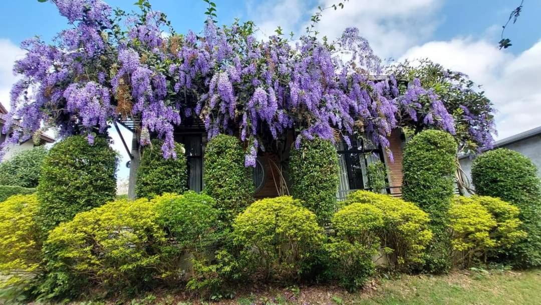 Casa Foresta Nan