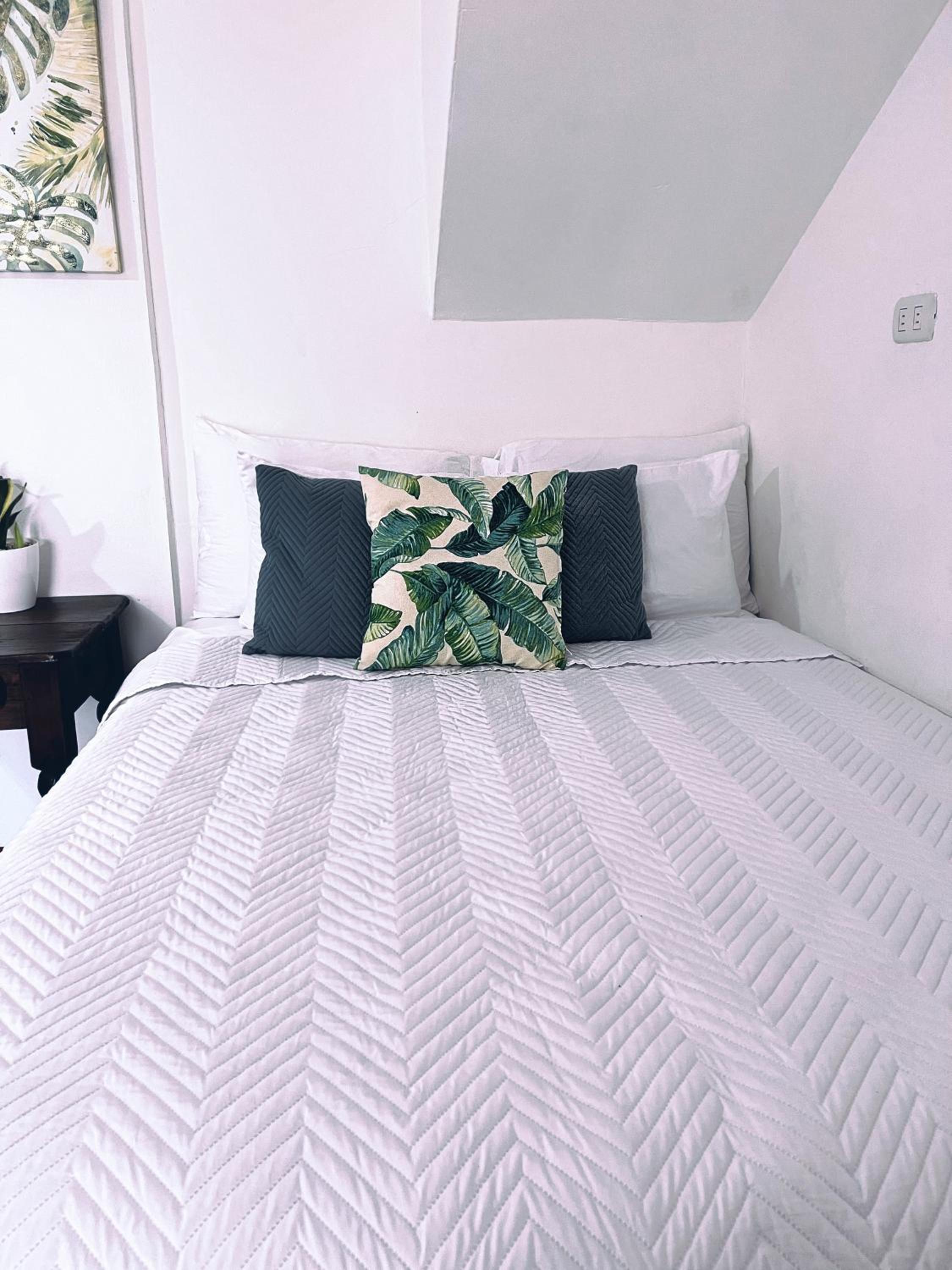 Villa Dankers : Cozy downtown & beach studio