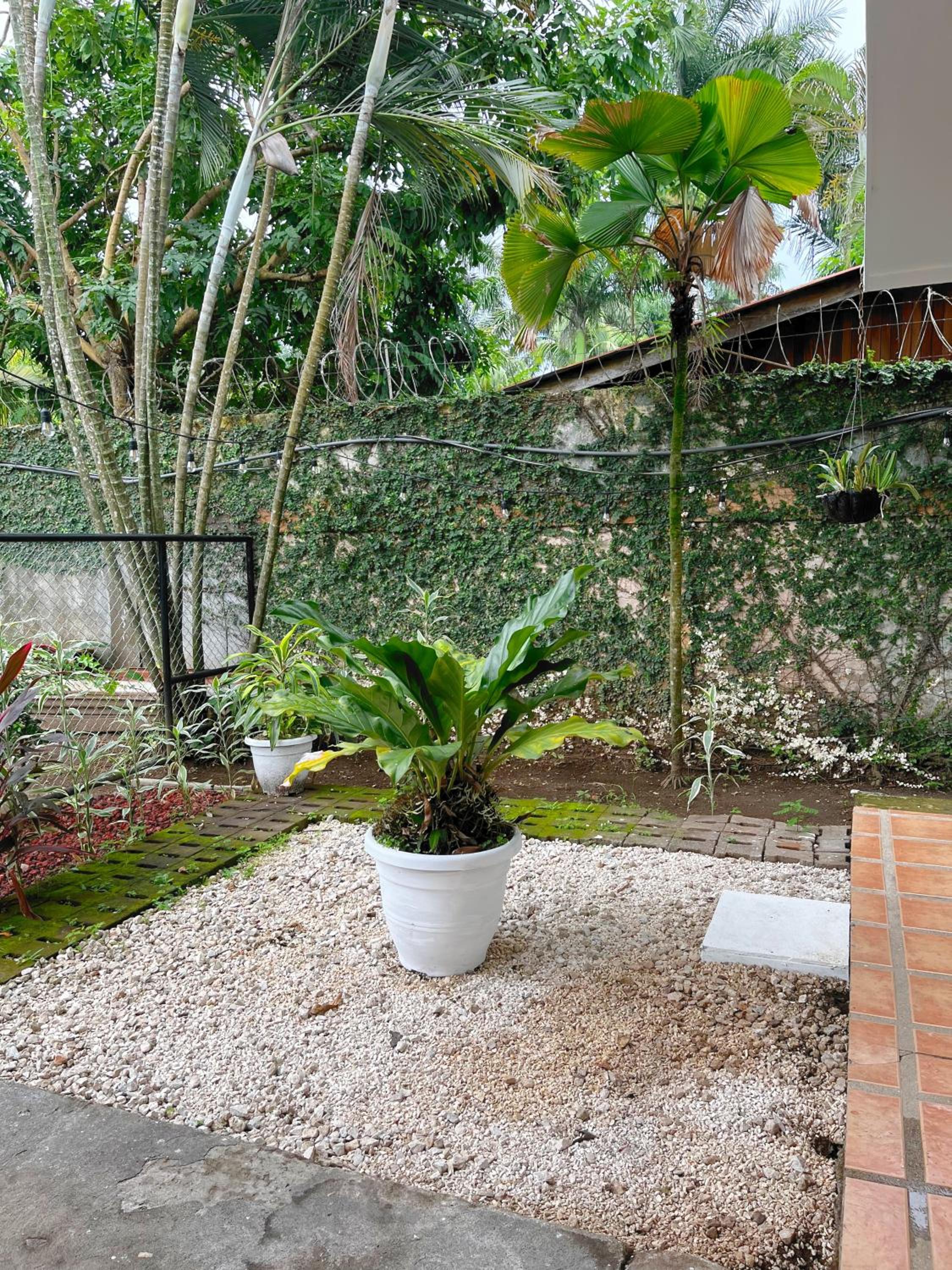 Villa Dankers : Cozy downtown & beach studio
