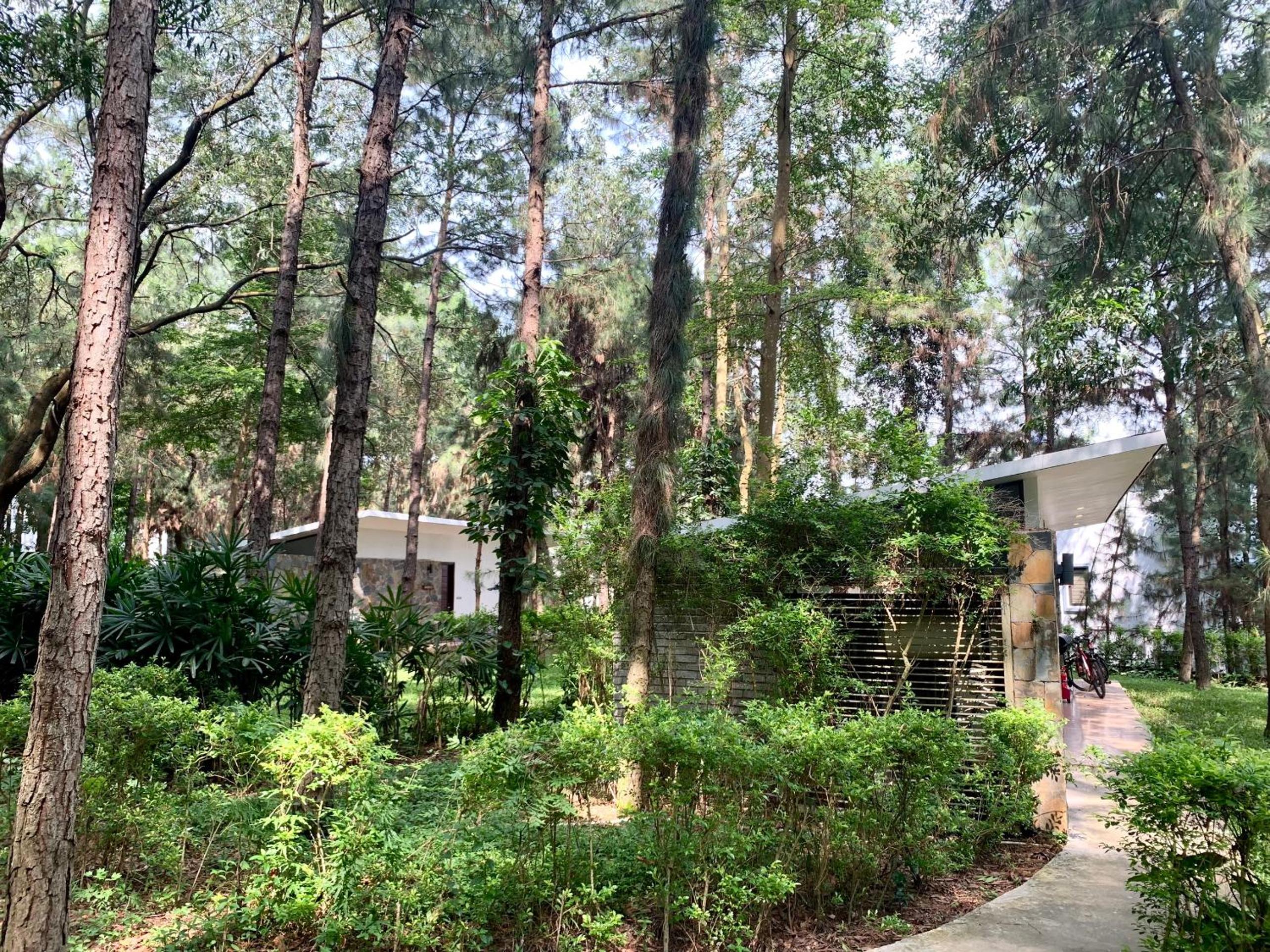 Hilltop Đại Lải H230 Villa