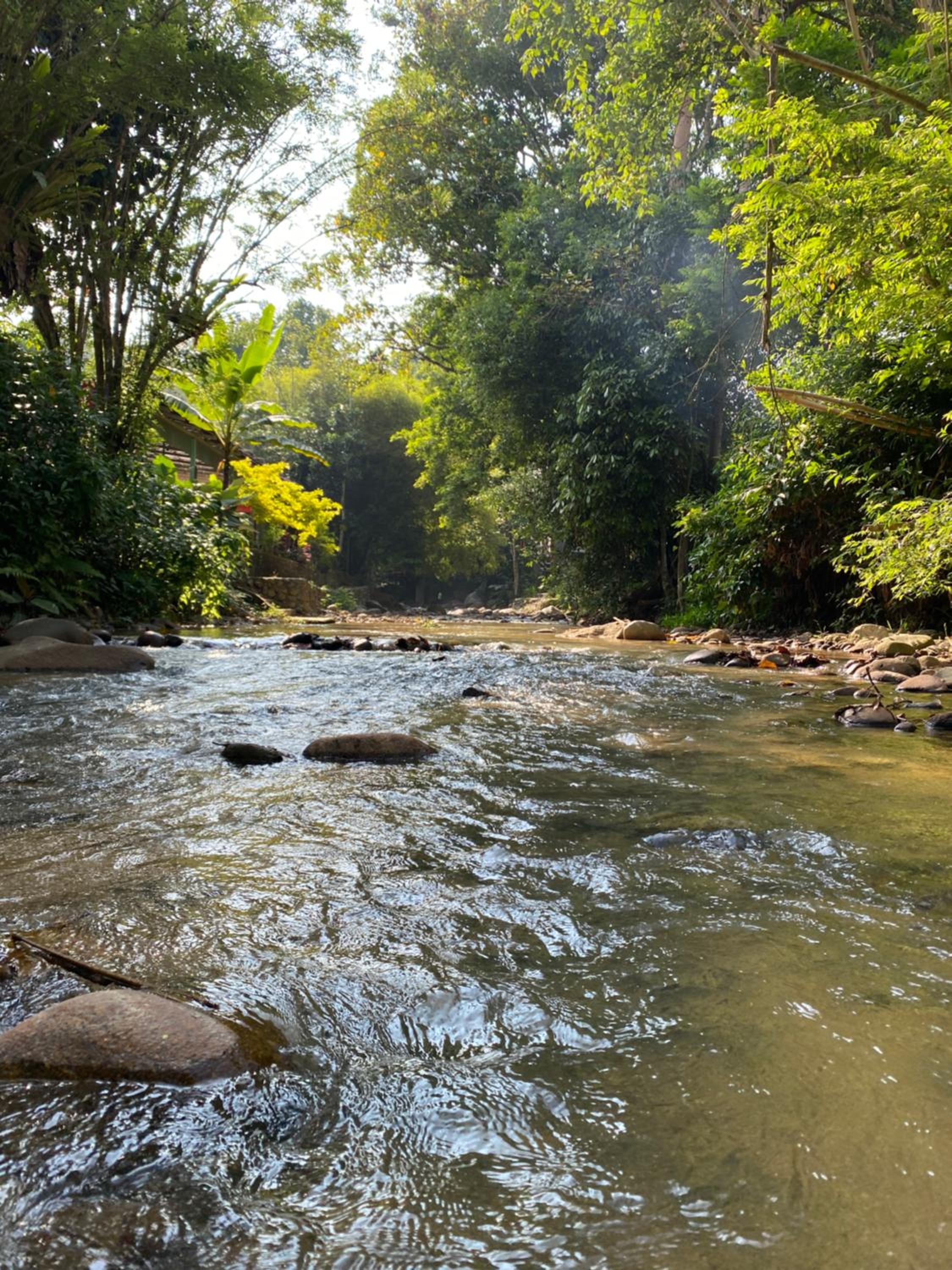 Suria Resort Janda Baik, Bentong - 16