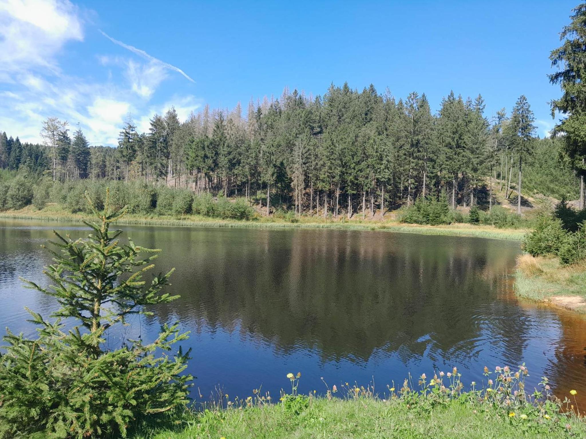 Chaloupka Pod jabloněmi