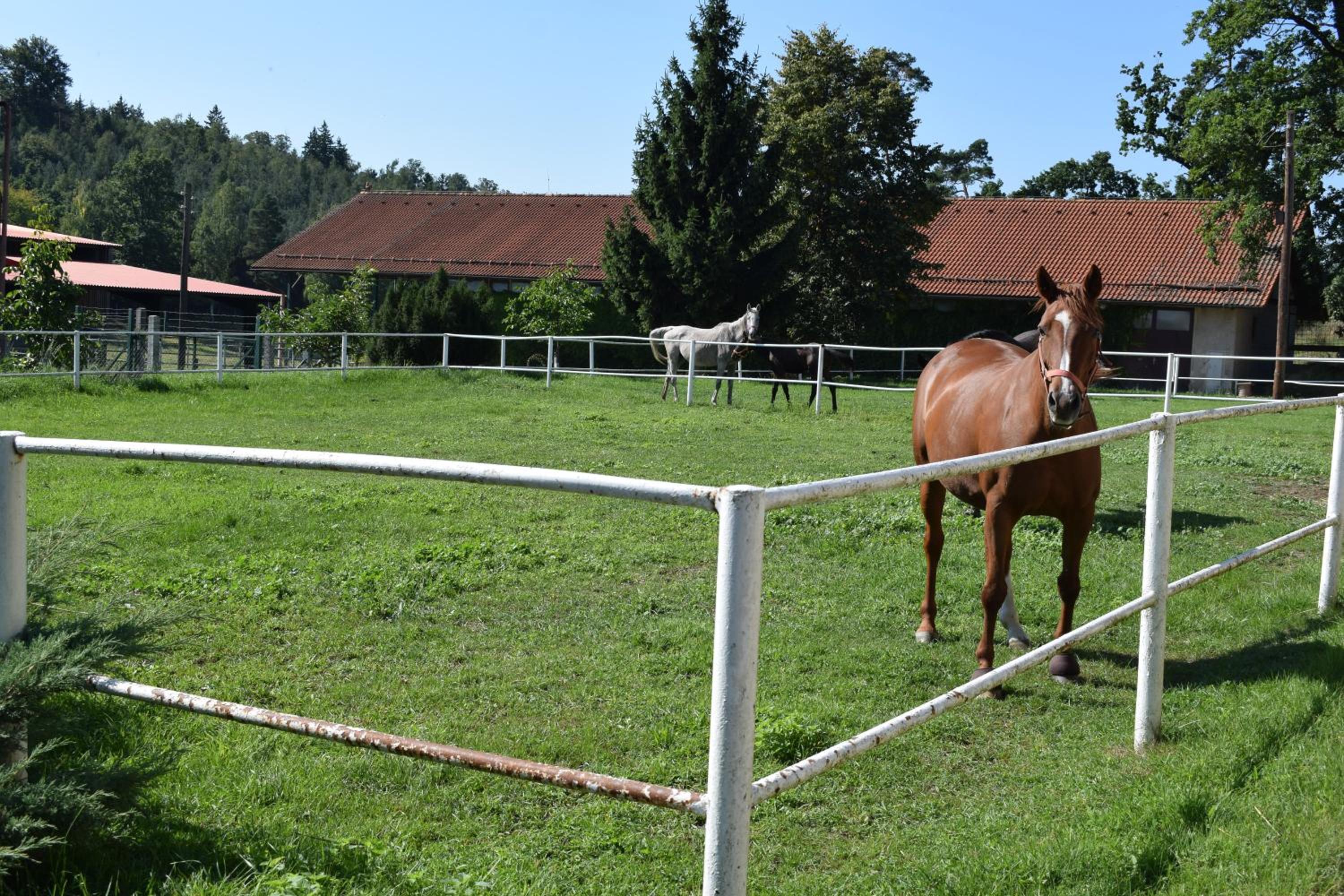 Zámeček nad Běleckým Mlýnem