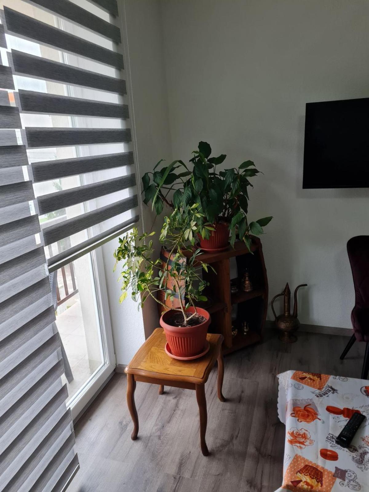Apartmani Villas