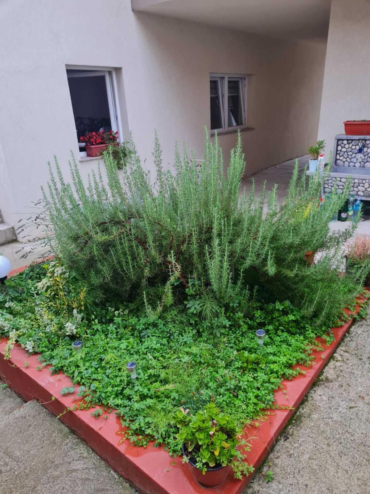 Apartmani Villas