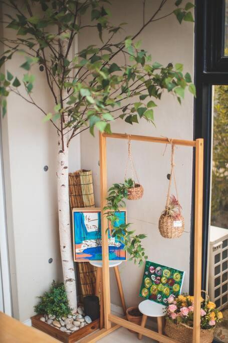 Siyoung's House