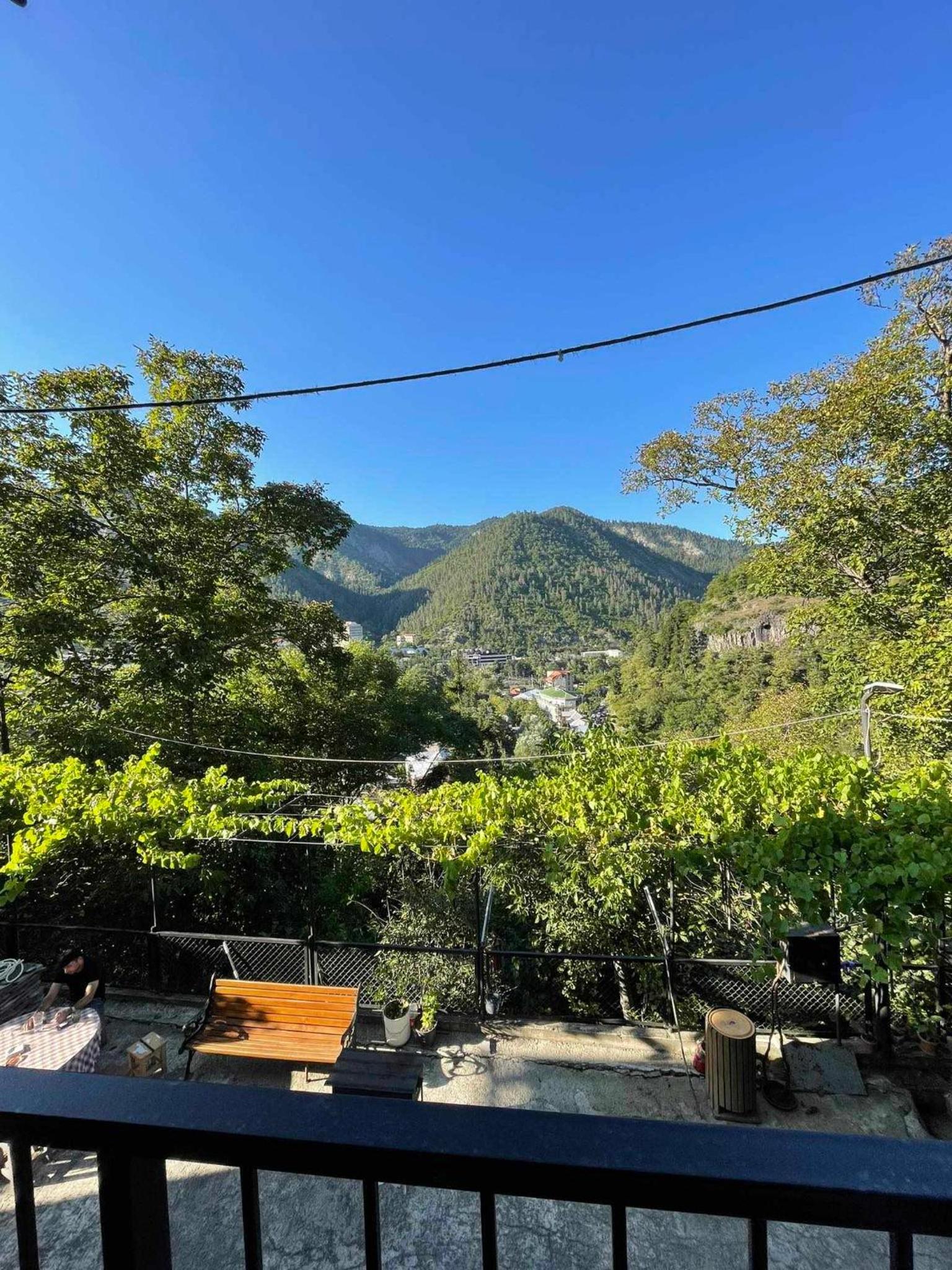 Borjomi View