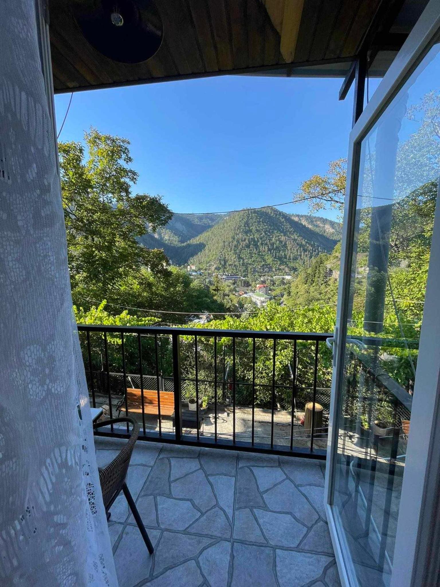 Borjomi View