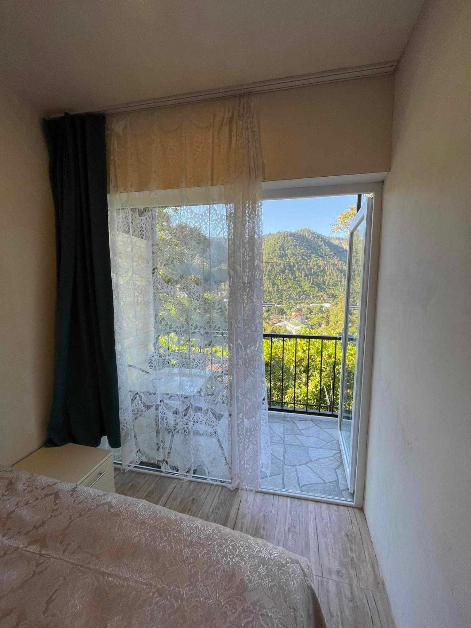 Borjomi View