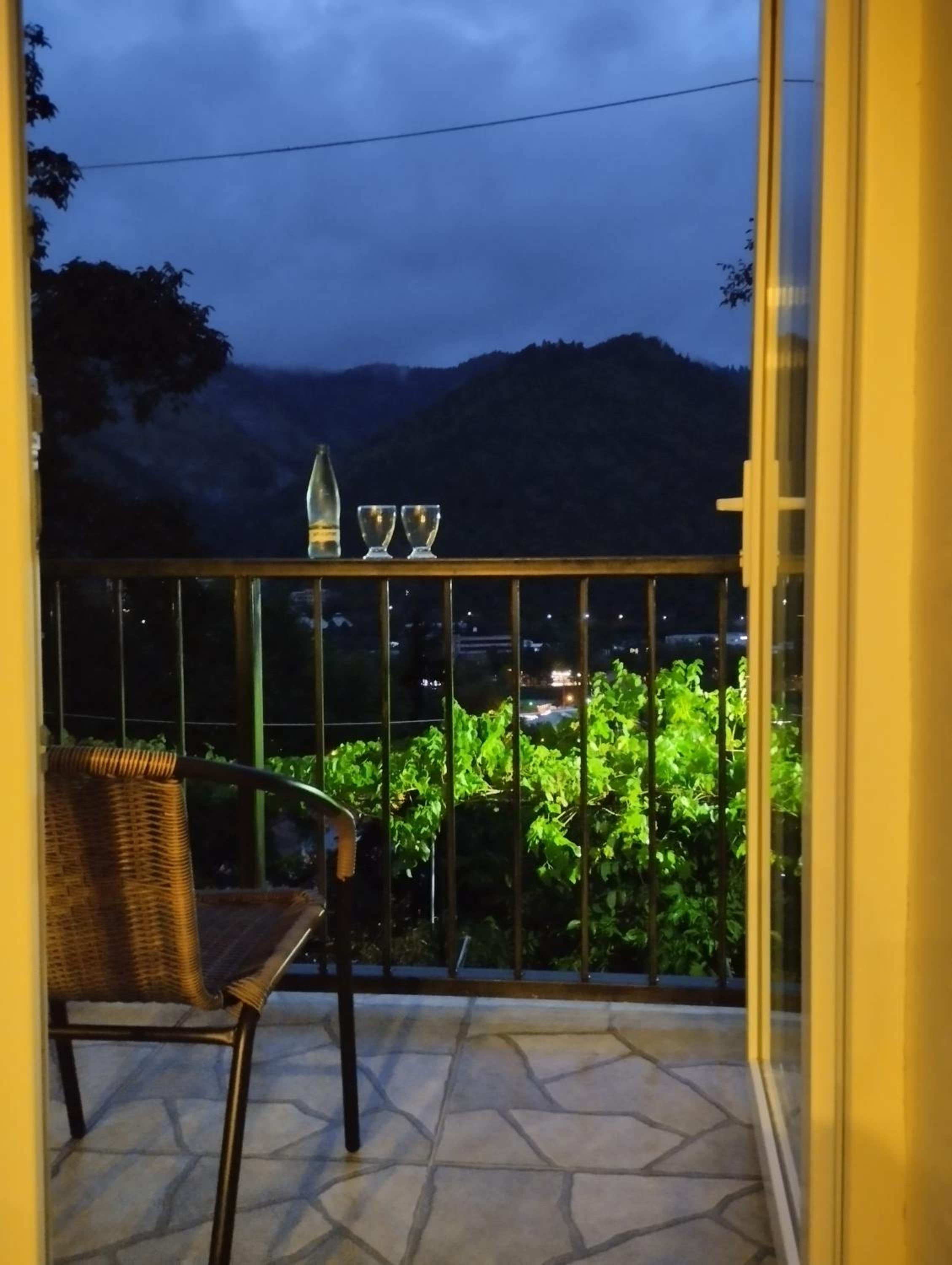 Borjomi View