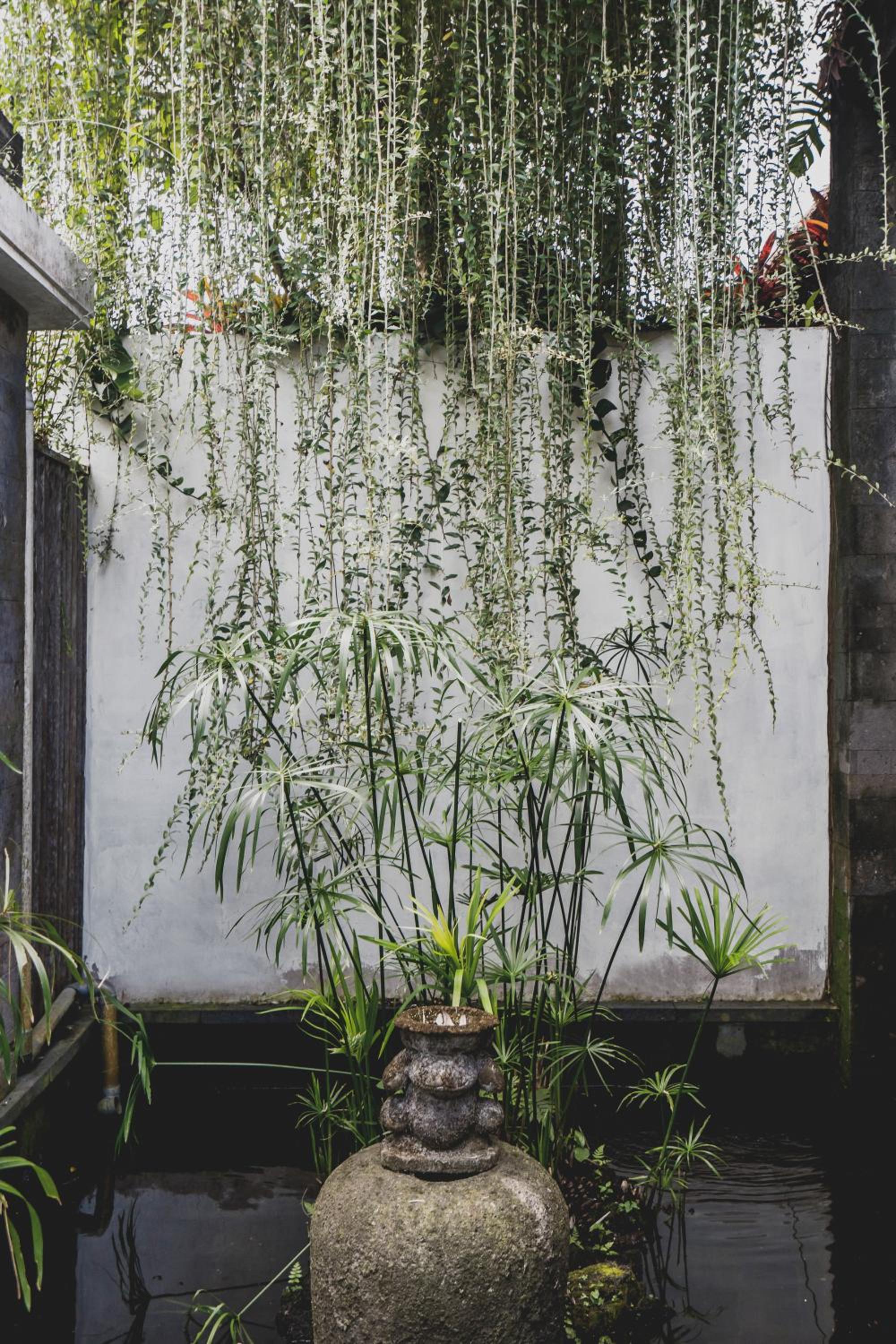 Luwak Ubud Villa & Jungle Suite