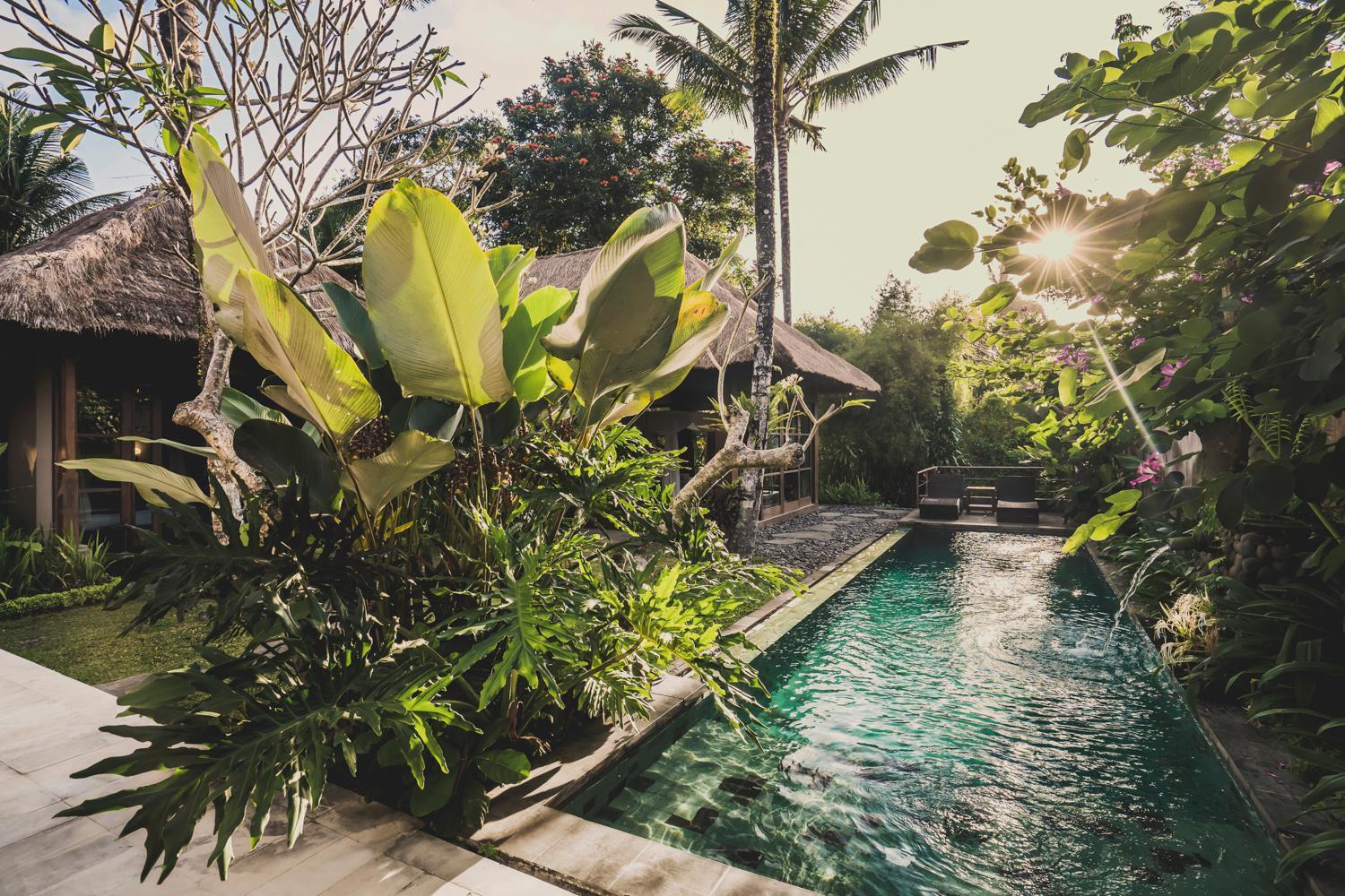 Luwak Ubud Villa & Jungle Suite
