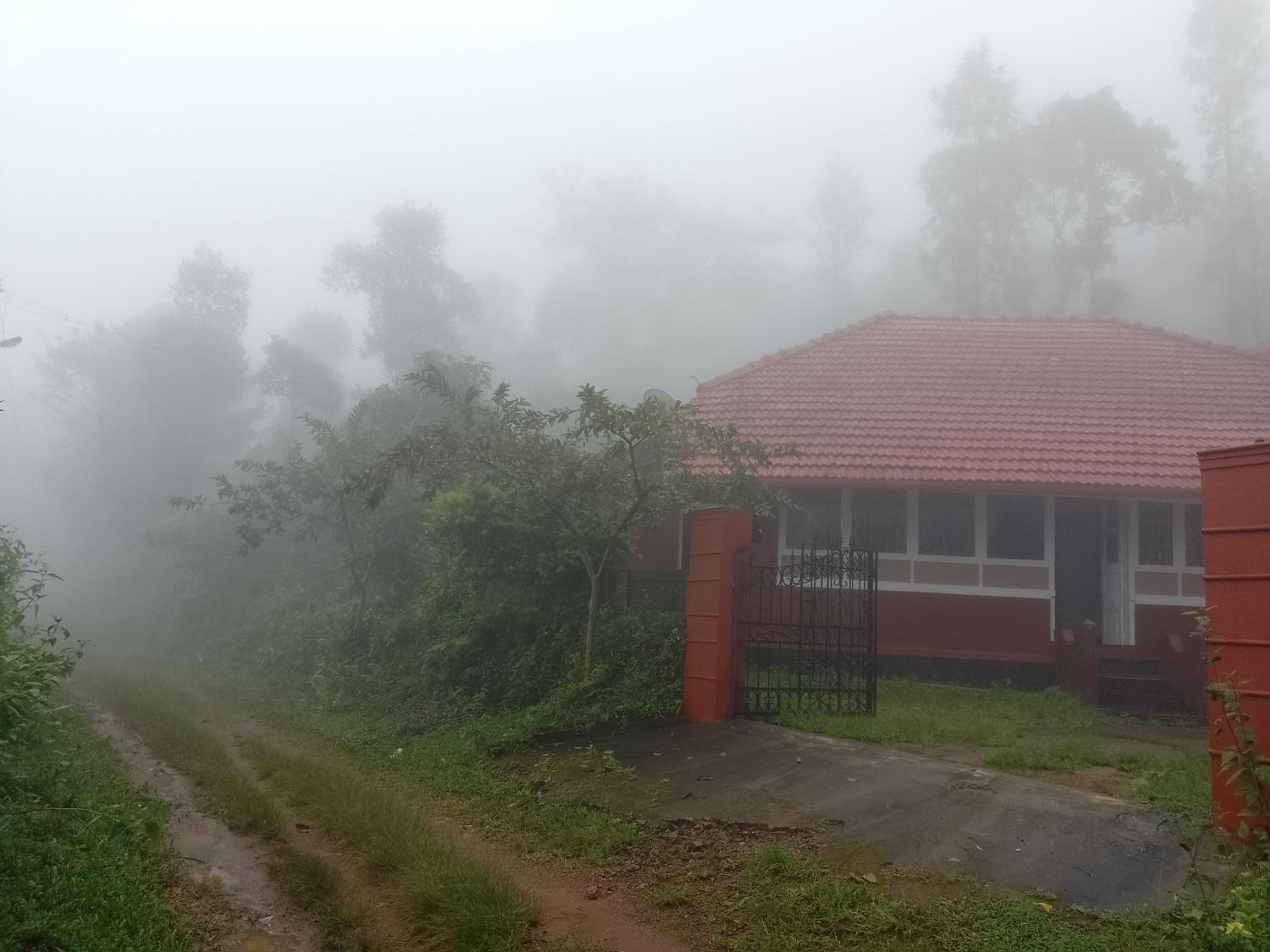 Chilly Coorg view 3