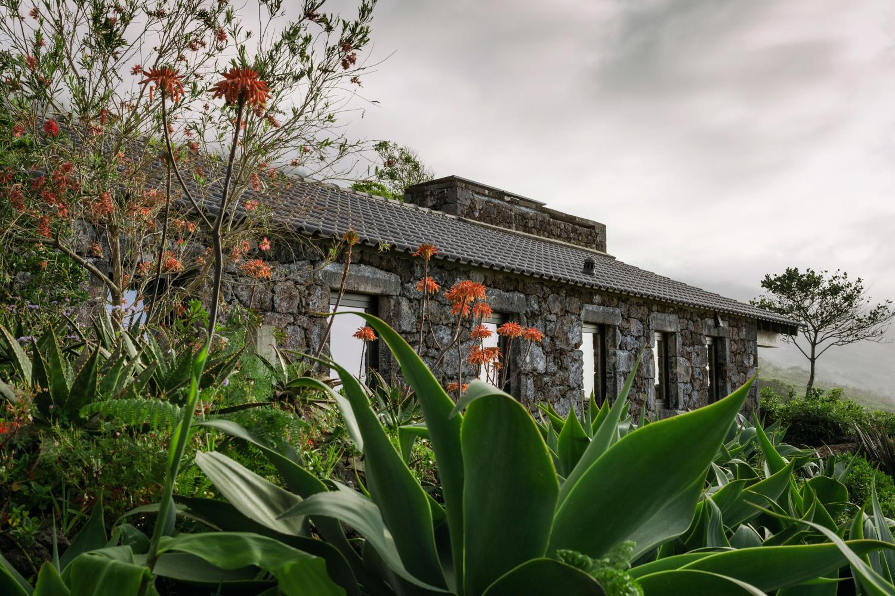 Lava Homes