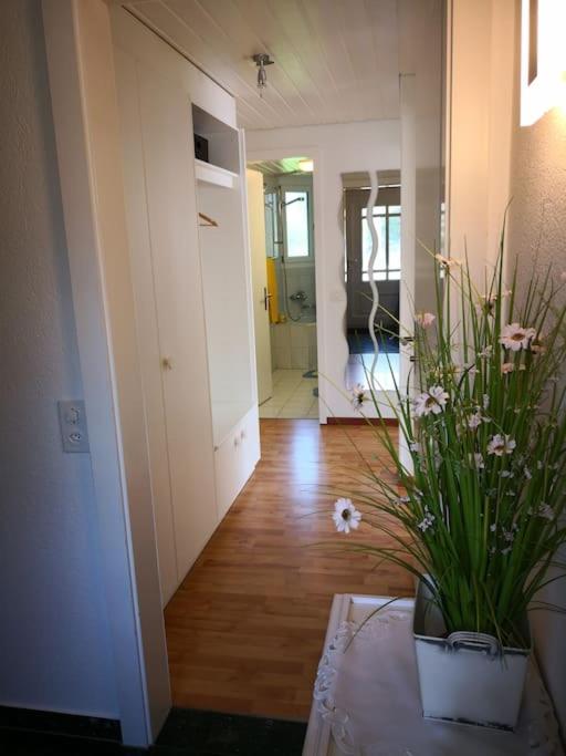Garten-Wohnung