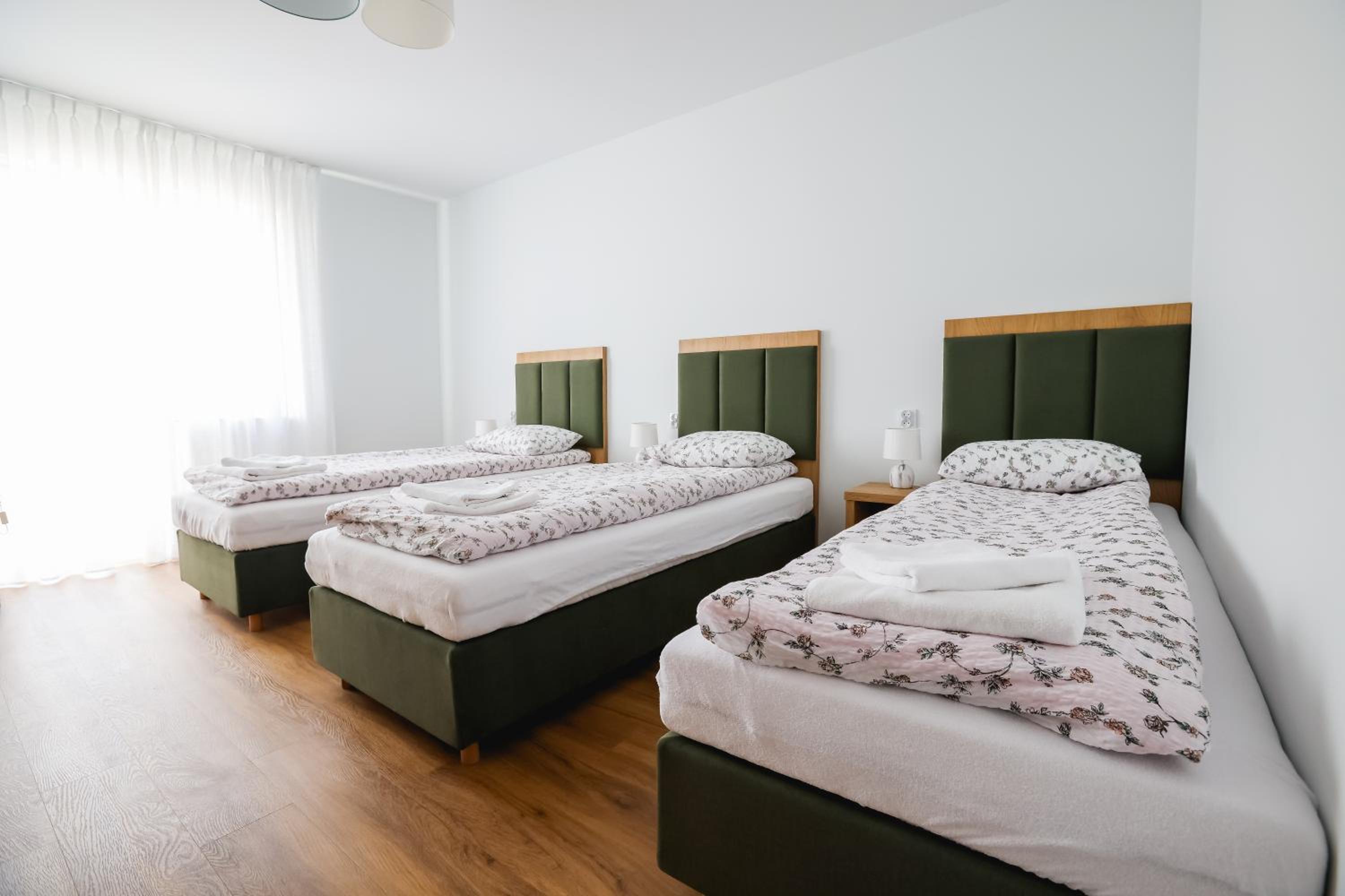 Dom do wynajęcia z tarasem i ogrodem, balia, ognisko
