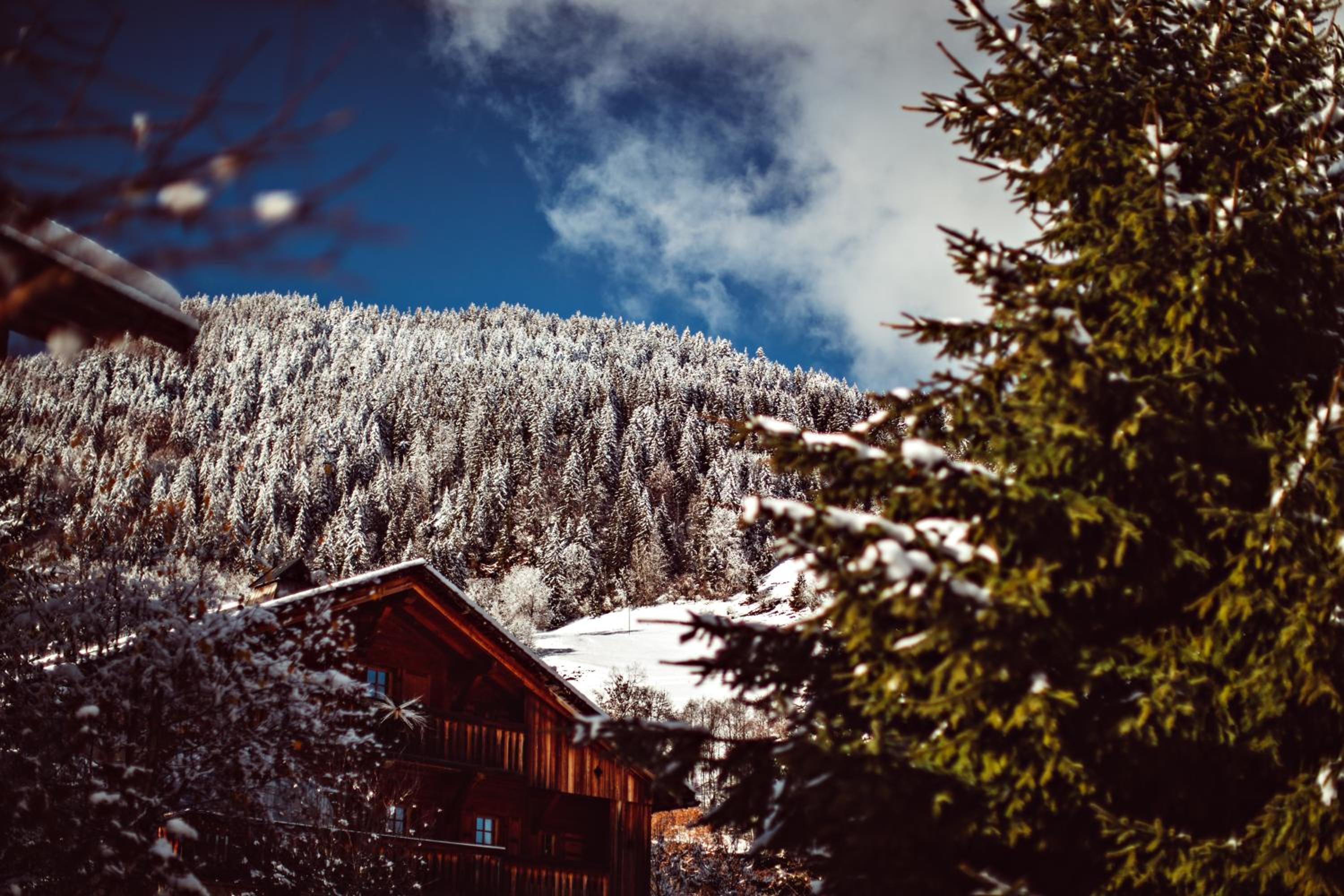 Chalets privés de L'Alpaga, photo 26