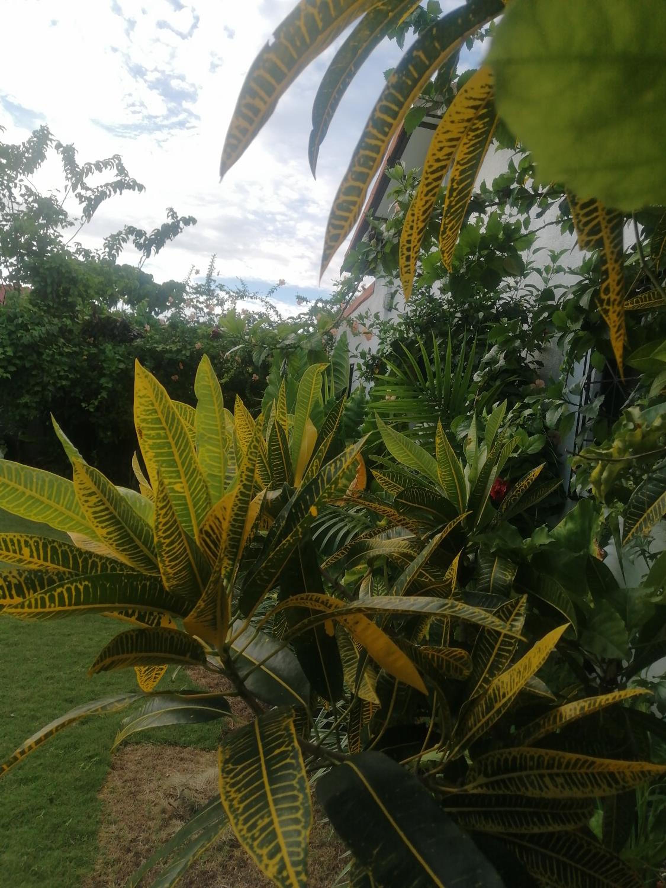 Siargao Homely Homestay