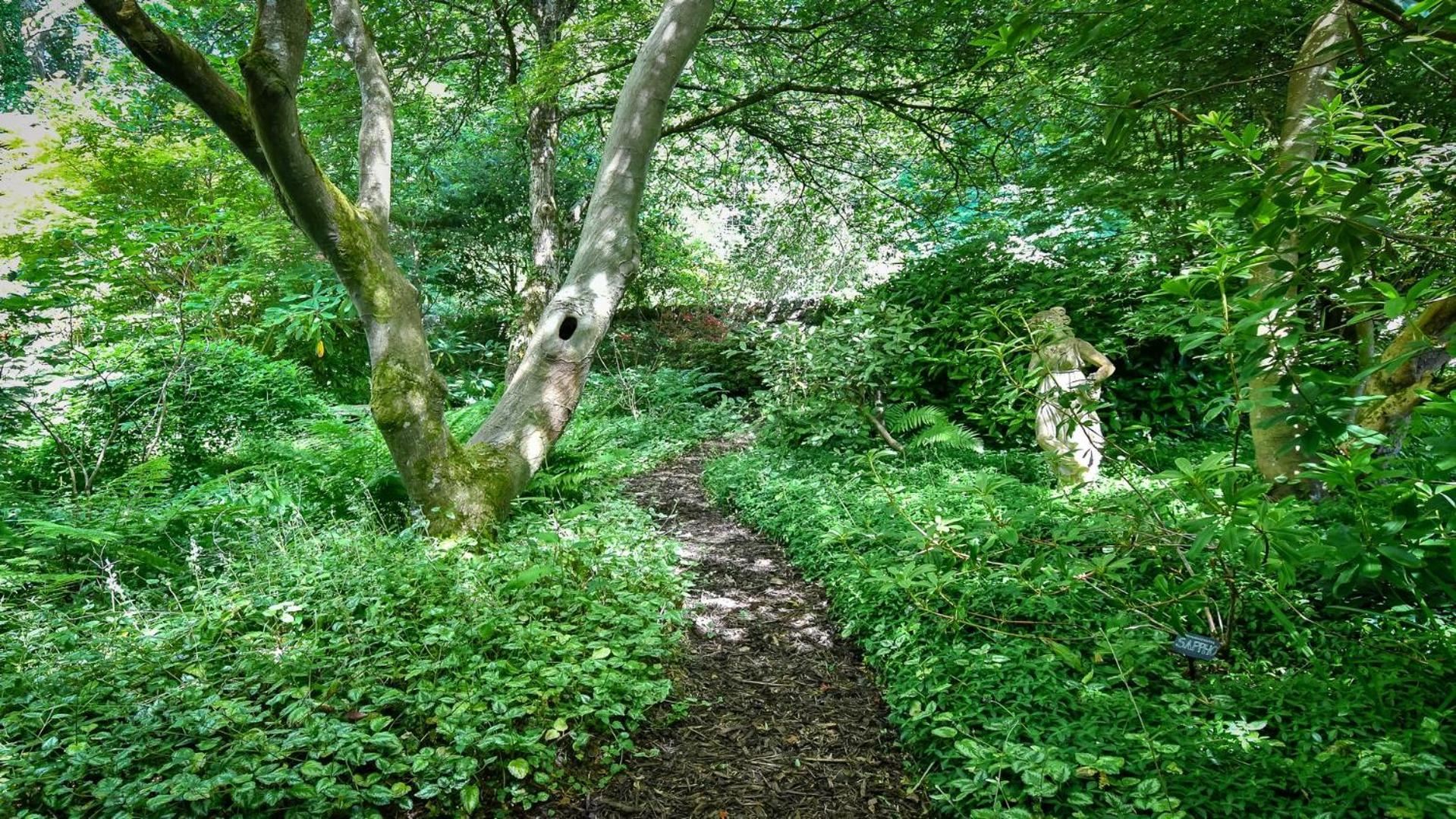 Plas Bodegroes
