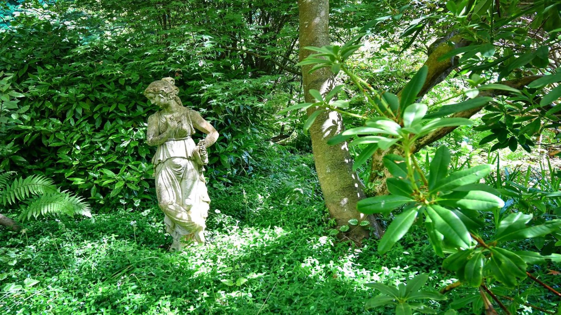 Plas Bodegroes