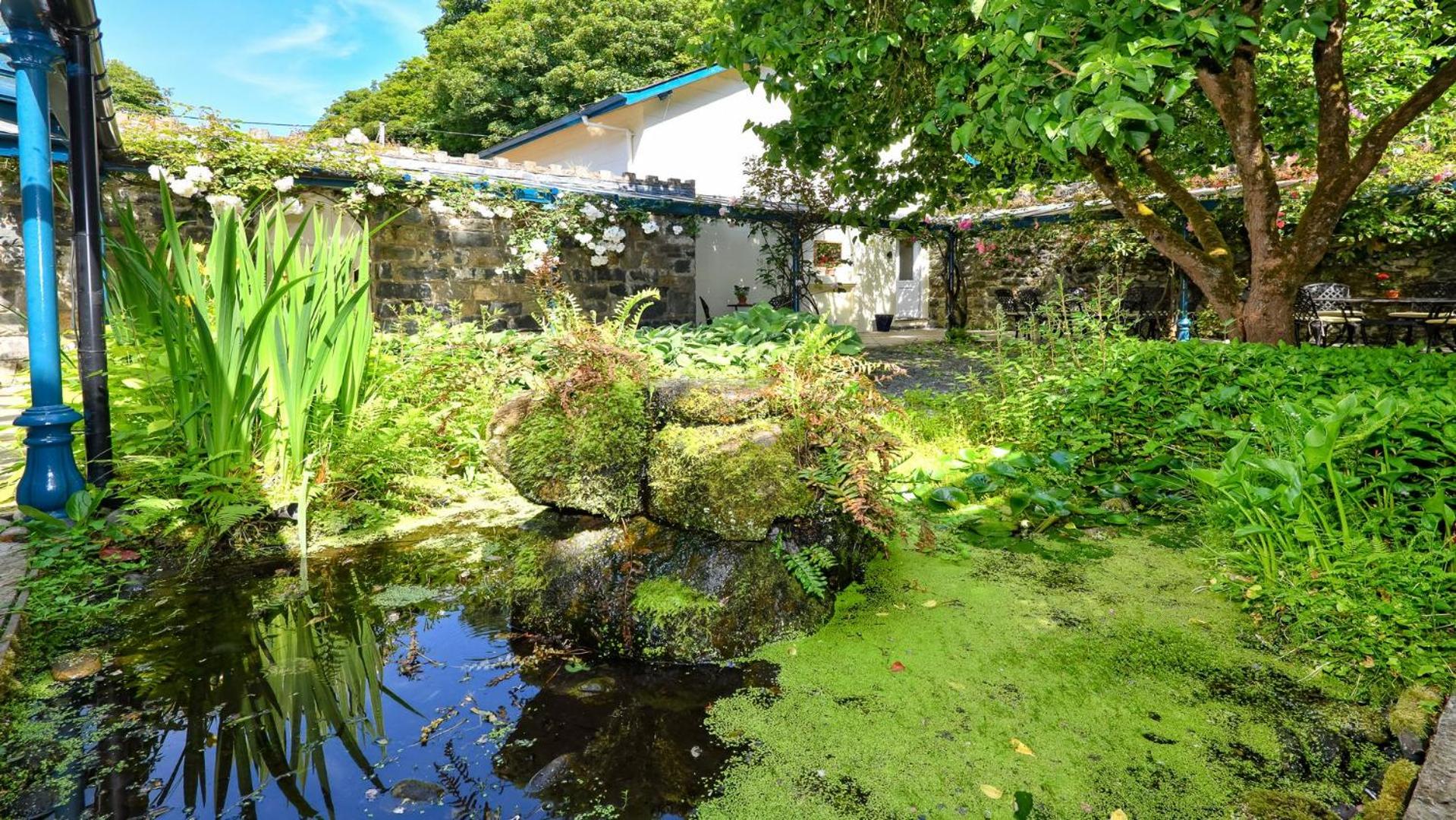 Plas Bodegroes