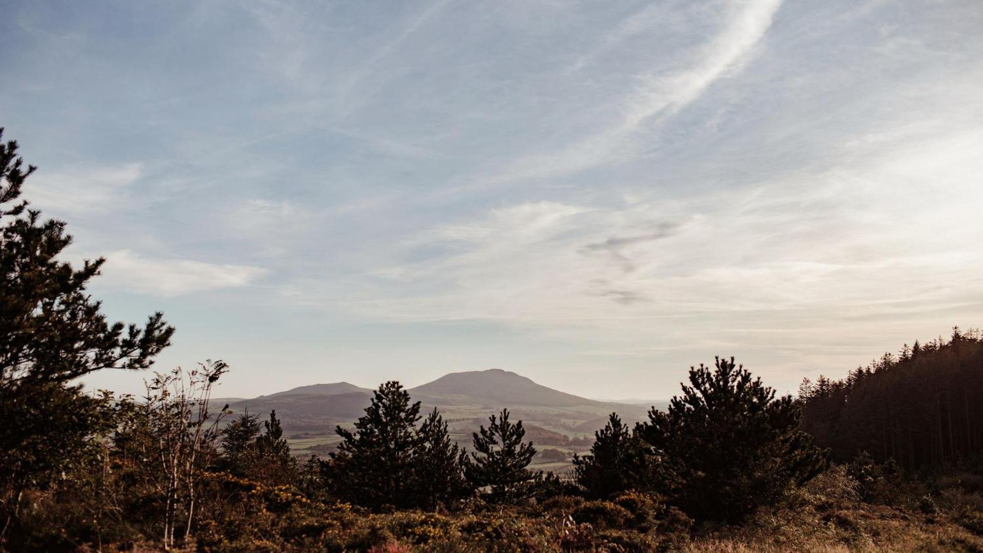 Tyddyn Llwydyn