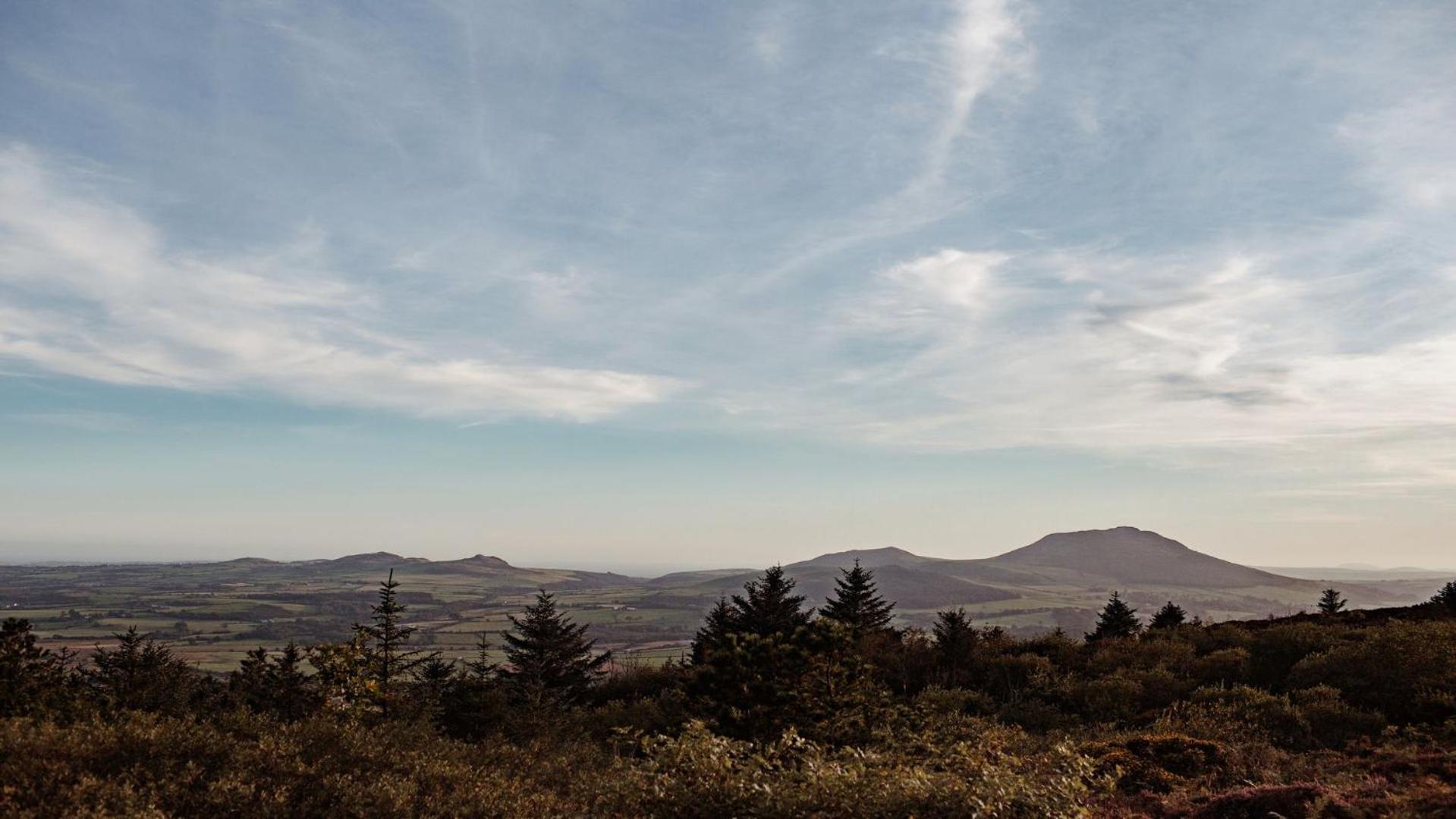 Tyddyn Llwydyn