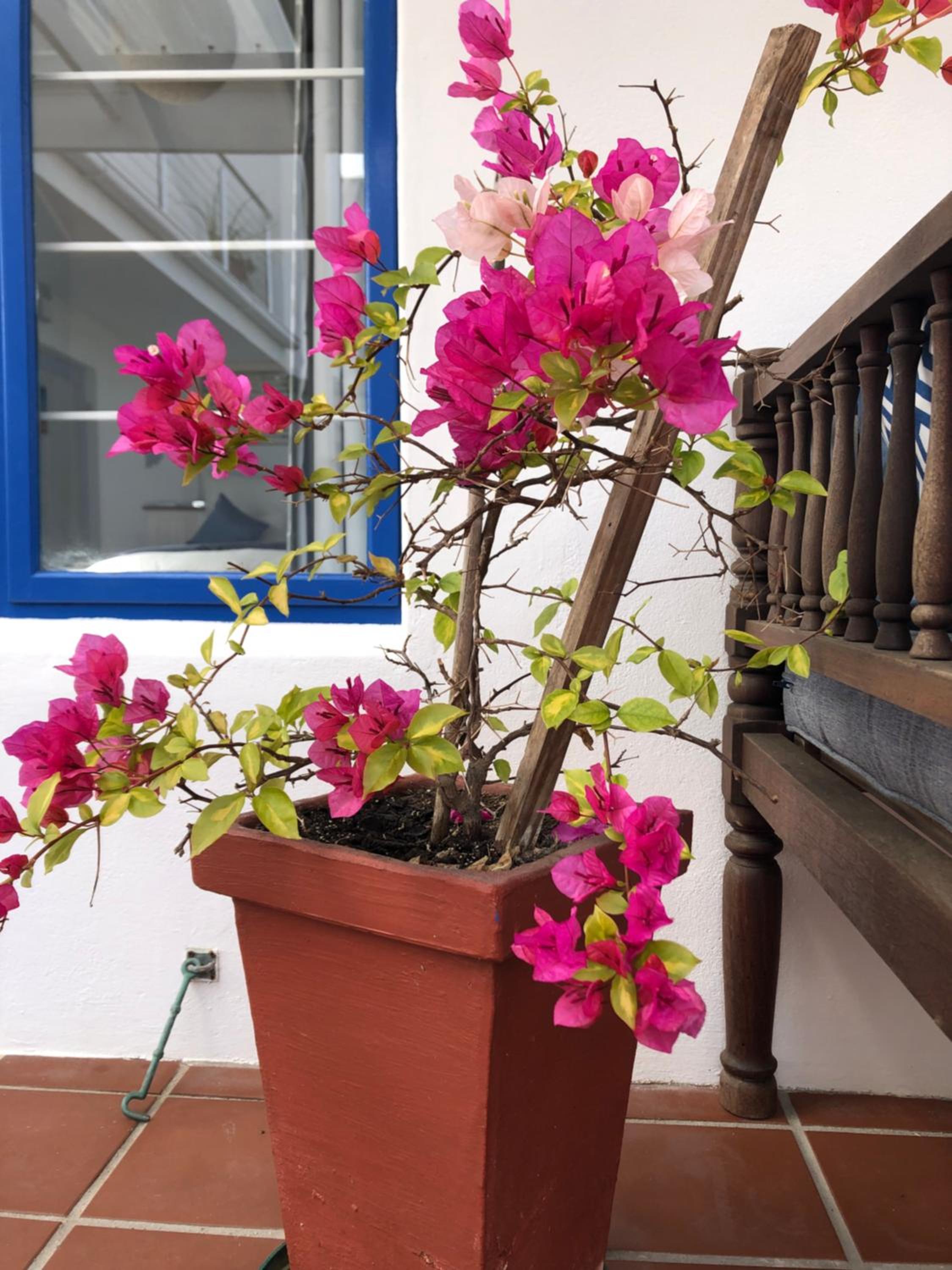 BlueSky Arniston Boutique Guesthouse