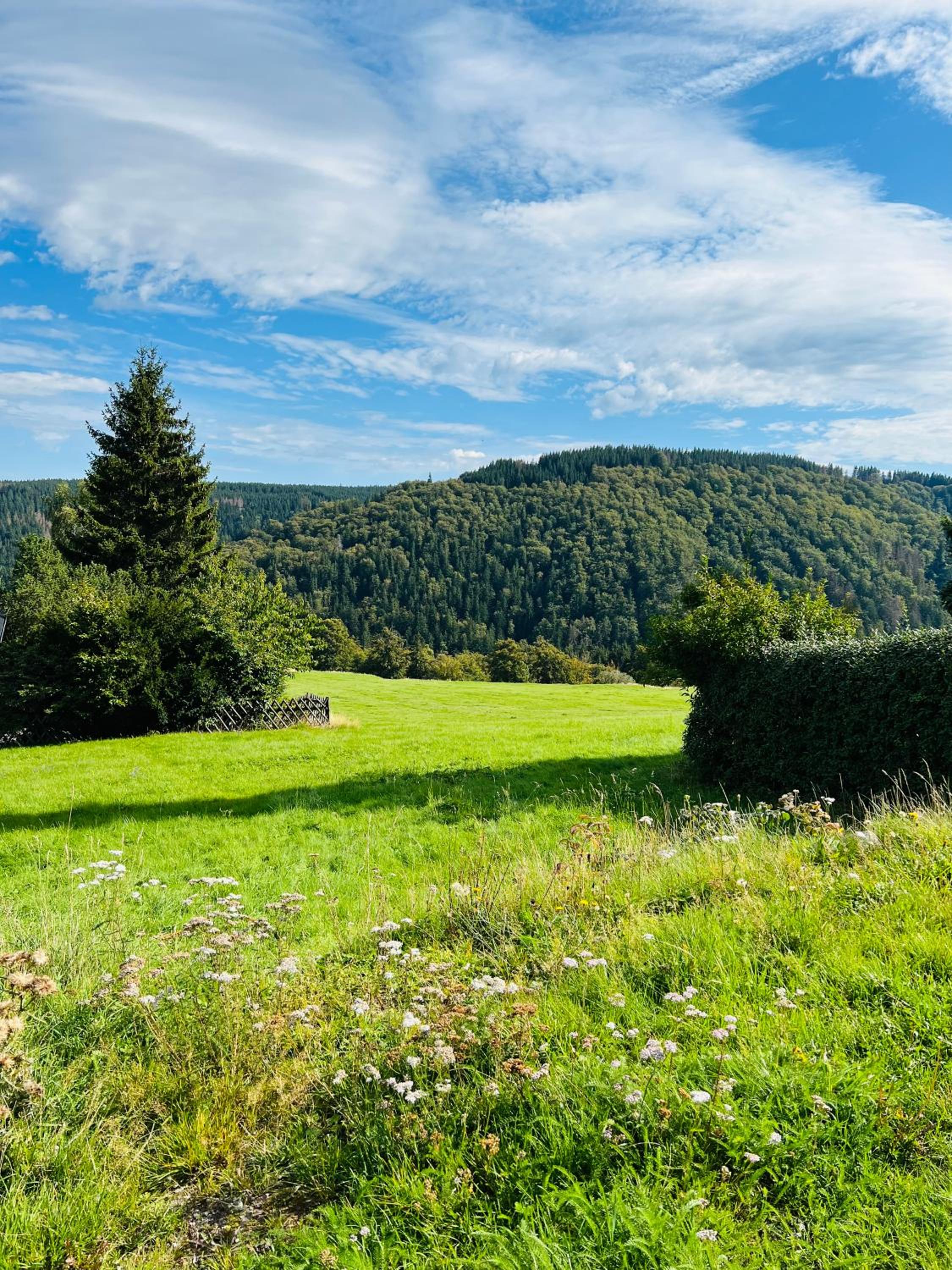 Ferienhaus Doina