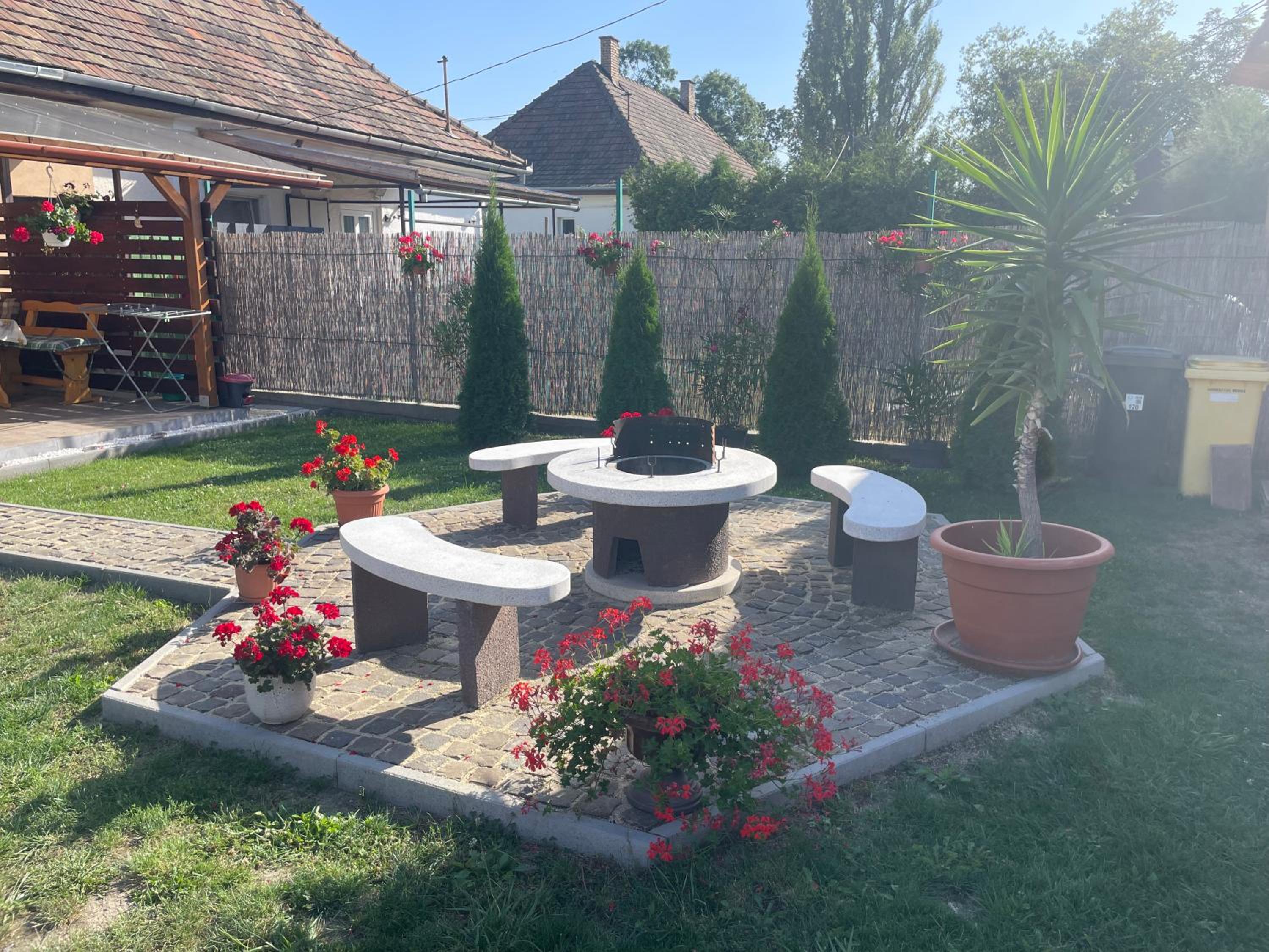 Photo 19