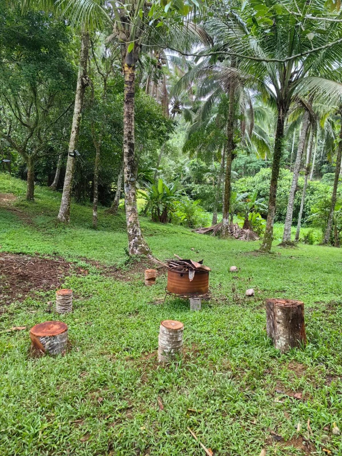 Elnora's Farm