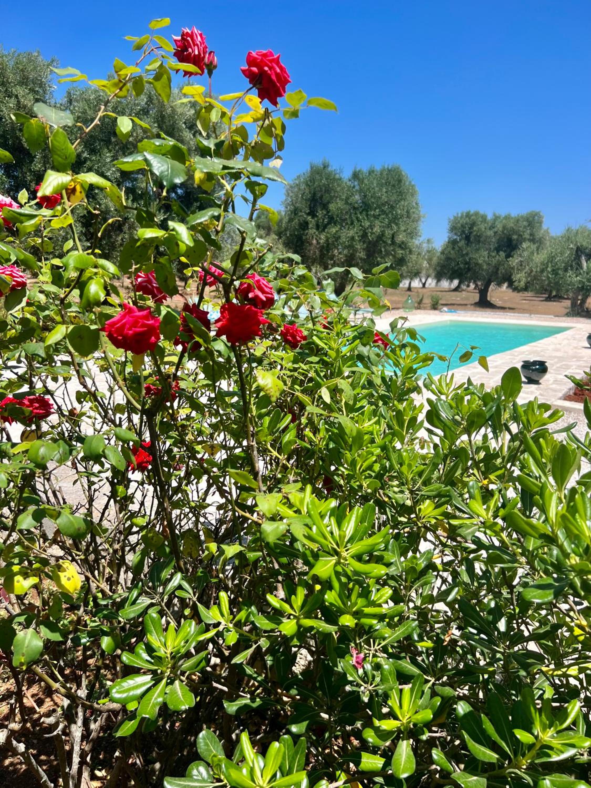 Le Lamie di Ostuni view 5