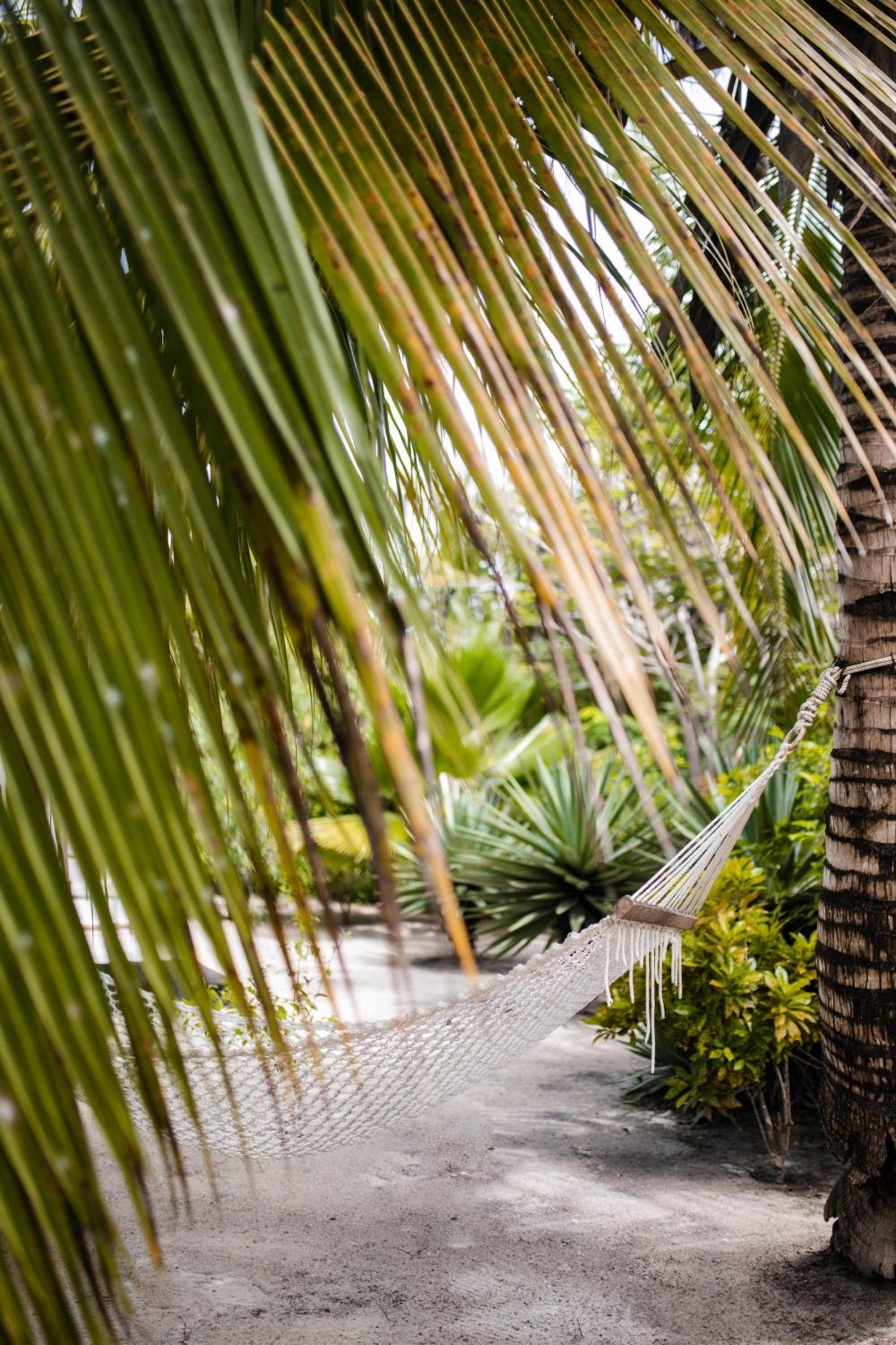 White Paradise Zanzibar