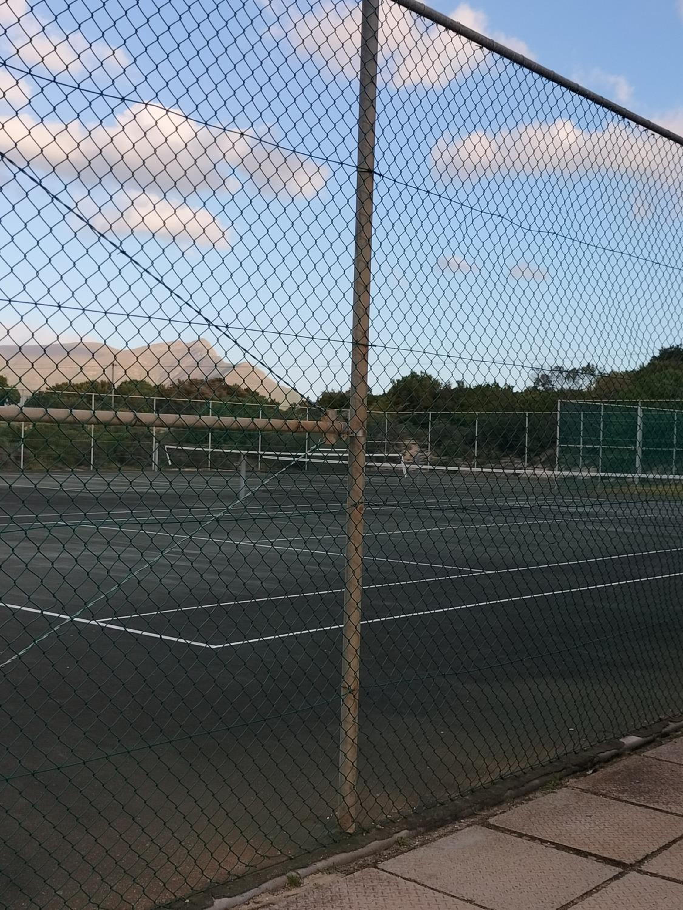 Photo 41