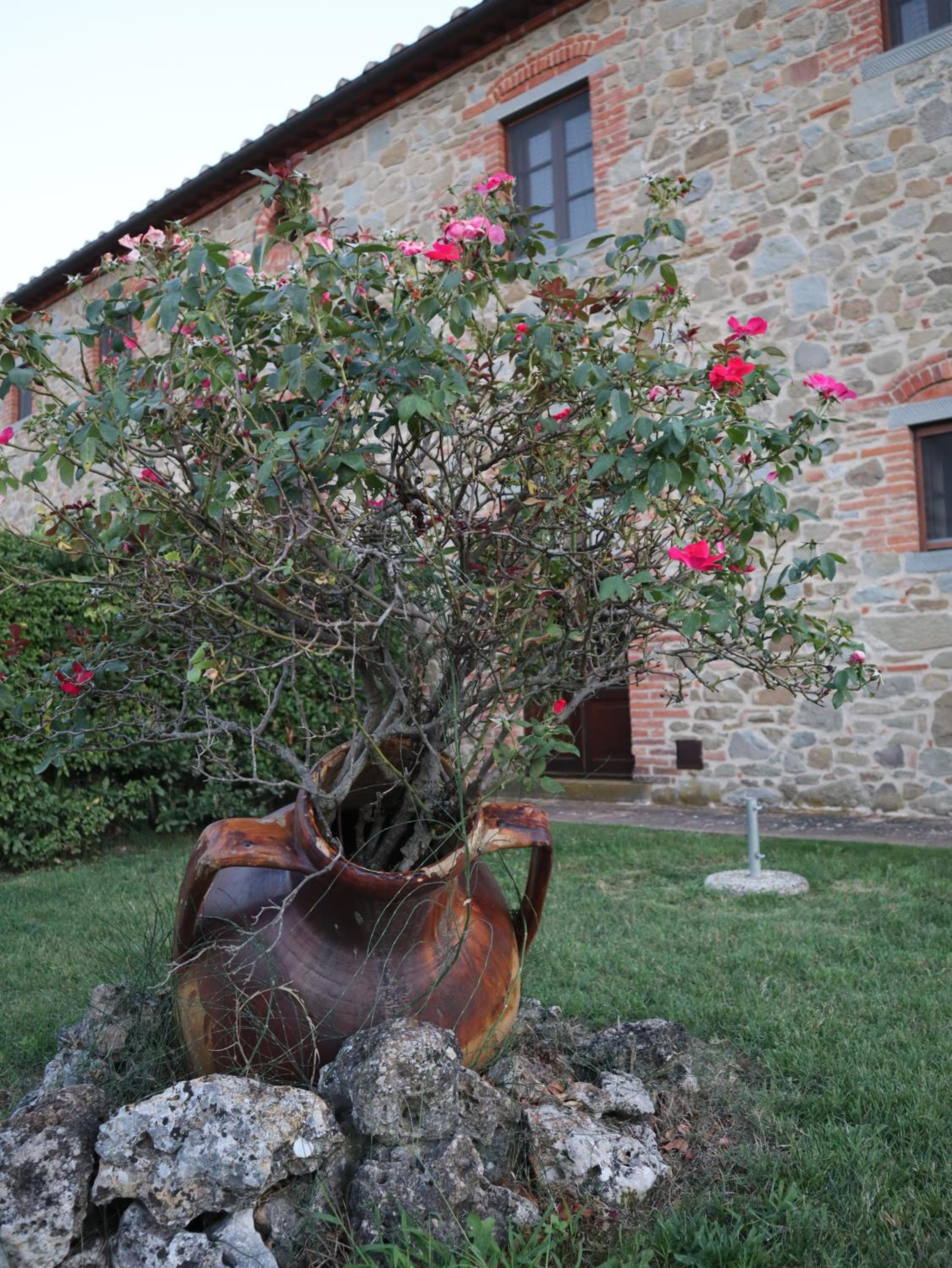 English Garden Cortona photo 2