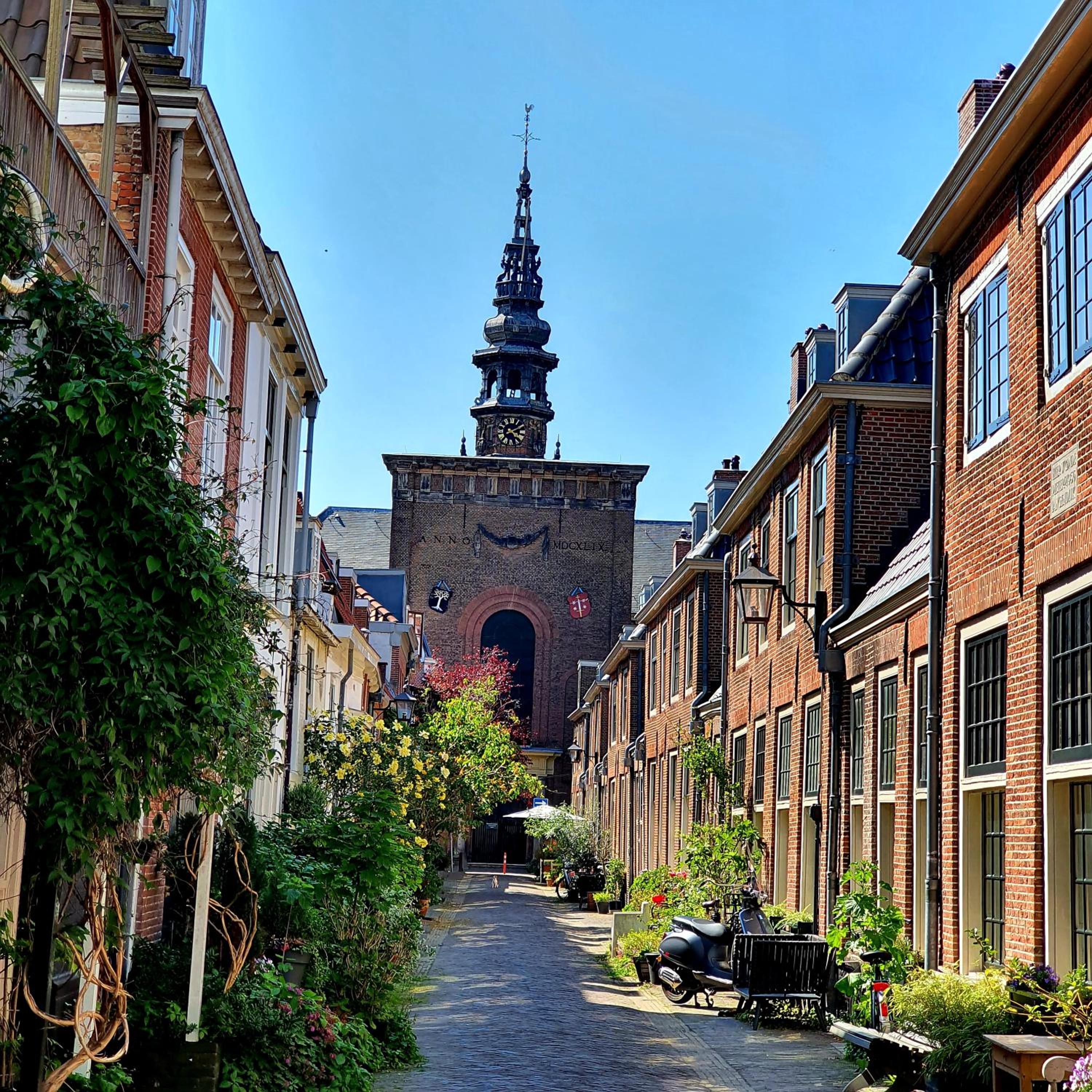 City Attic Haarlem view 4