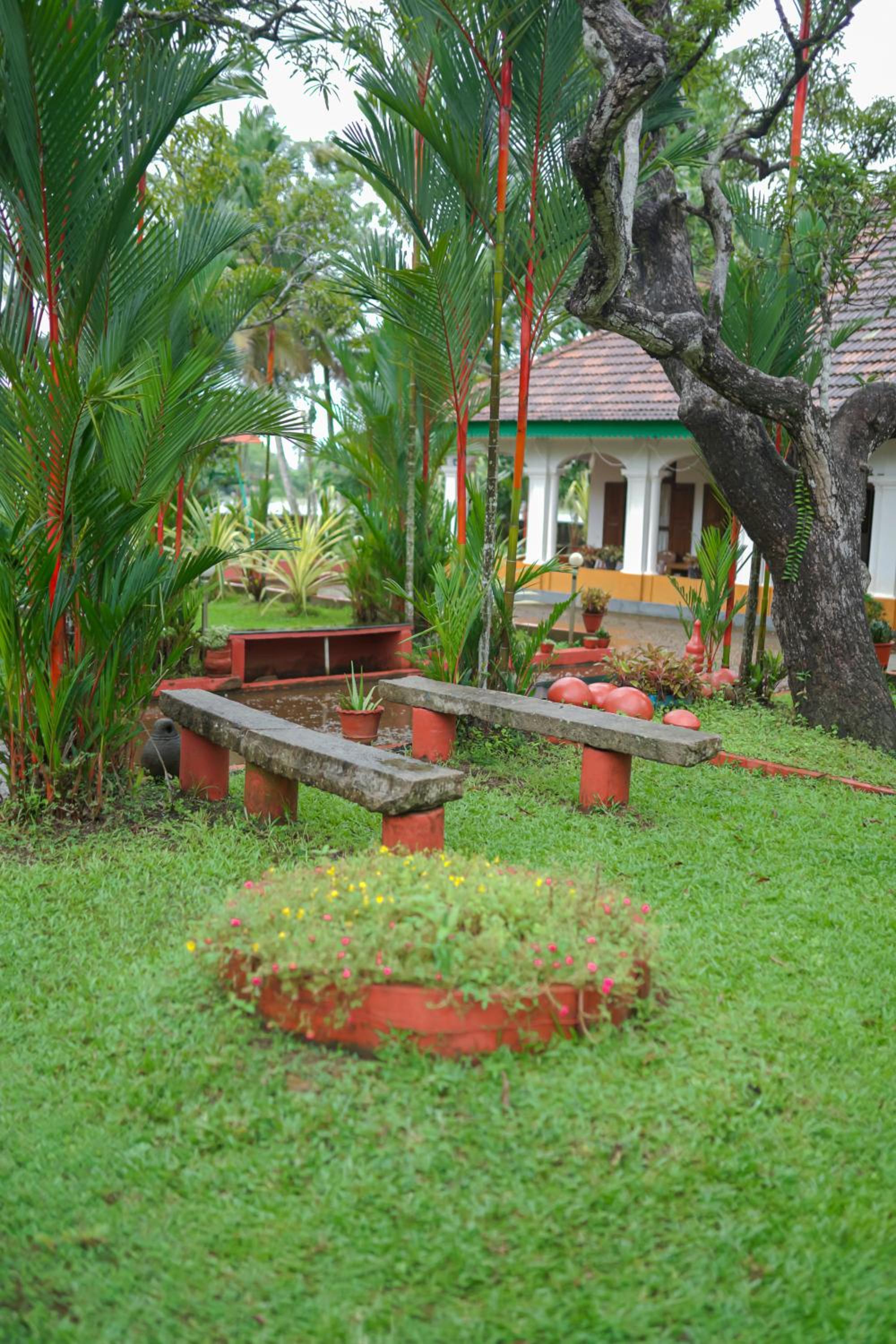 Photo 49