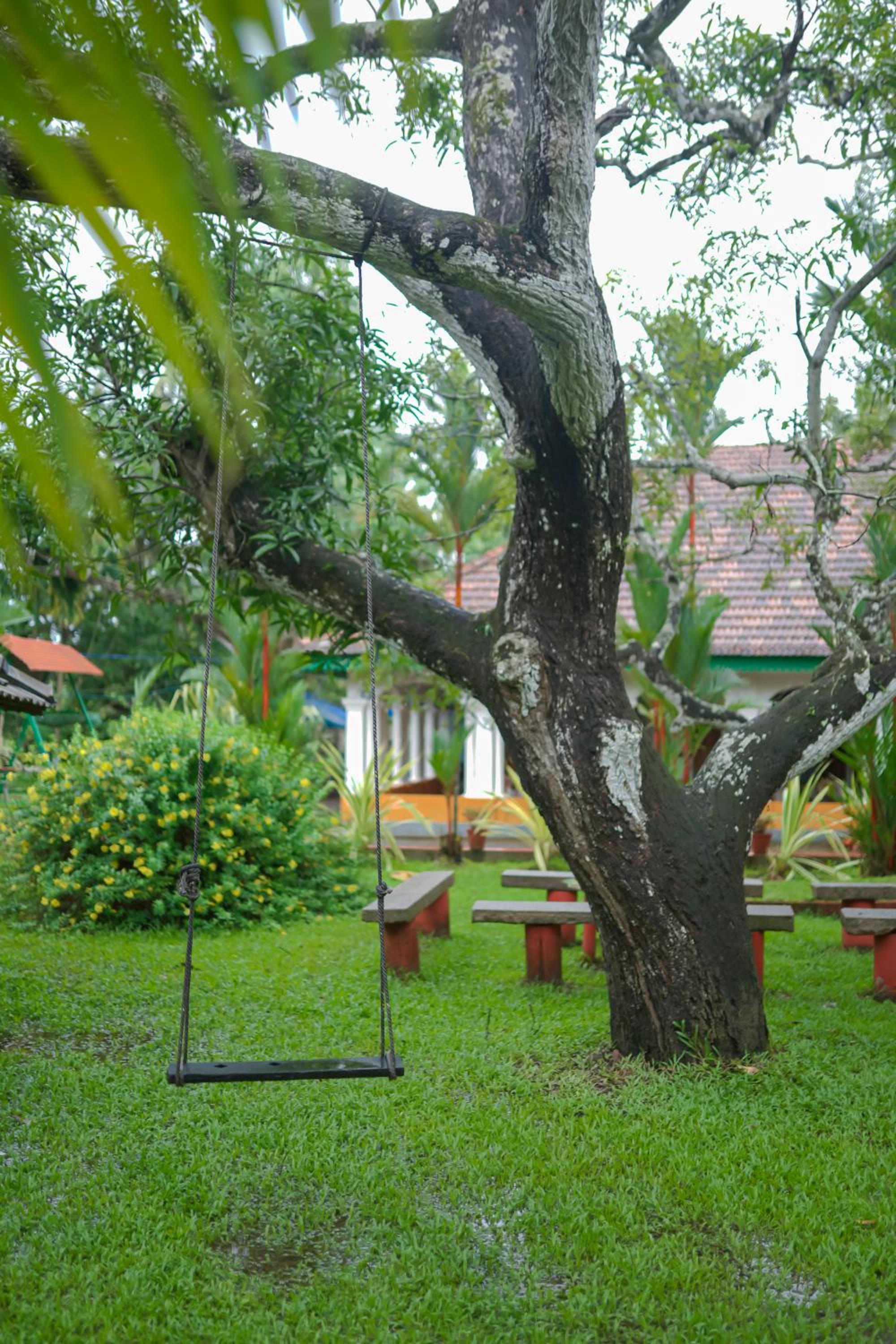 Photo 48